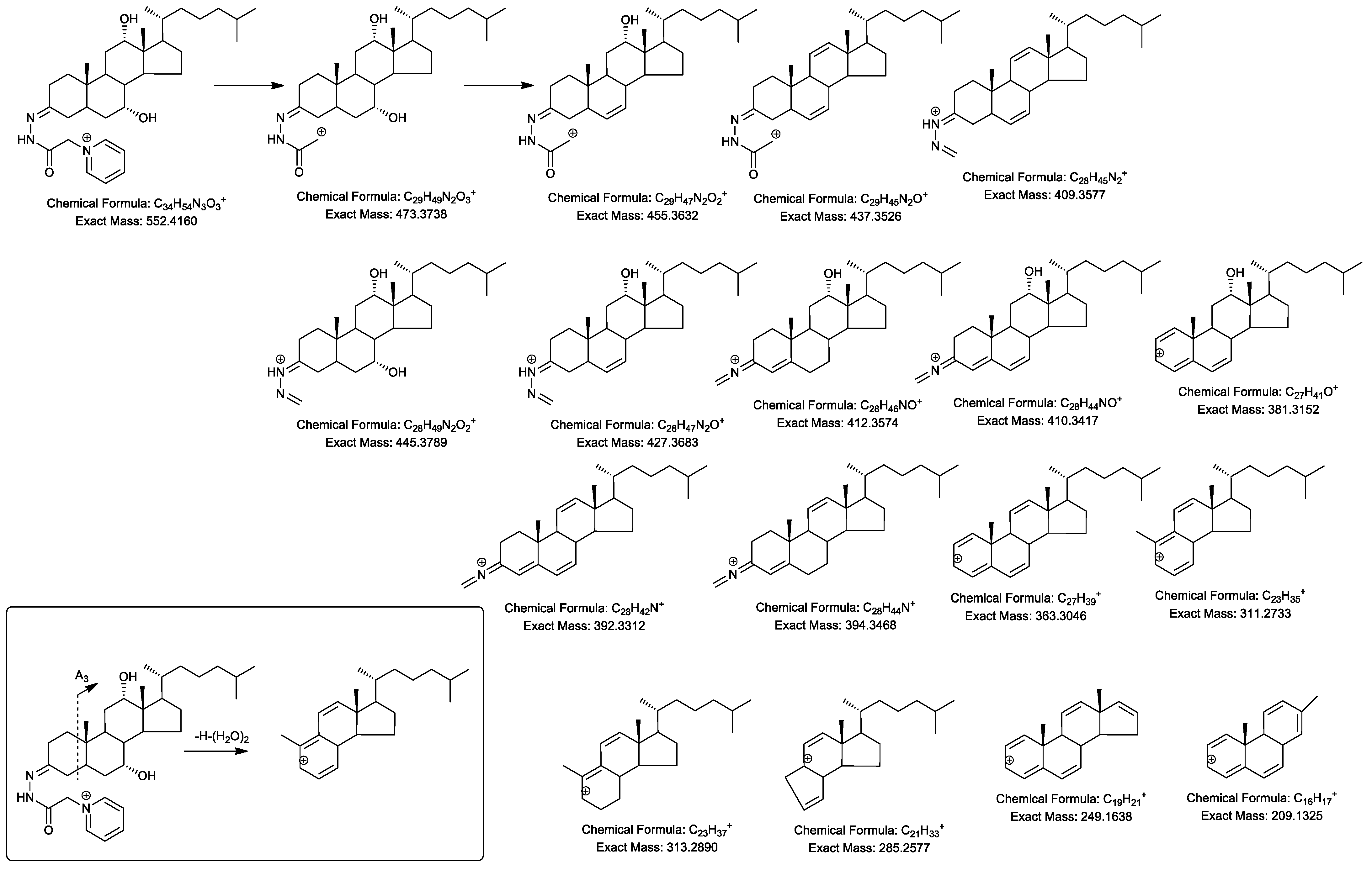 Molecules 24 00597 sch003