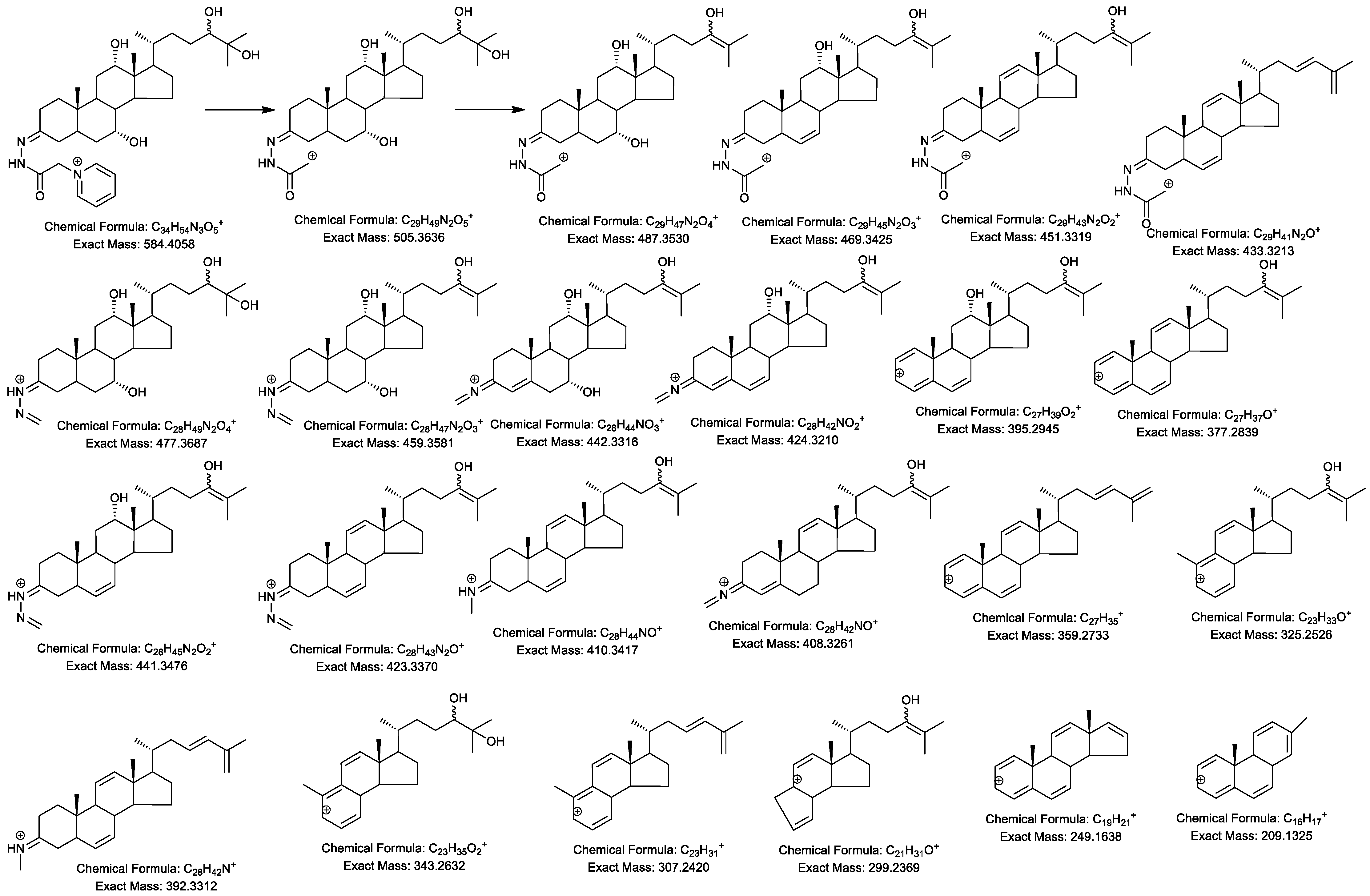 Molecules 24 00597 sch004