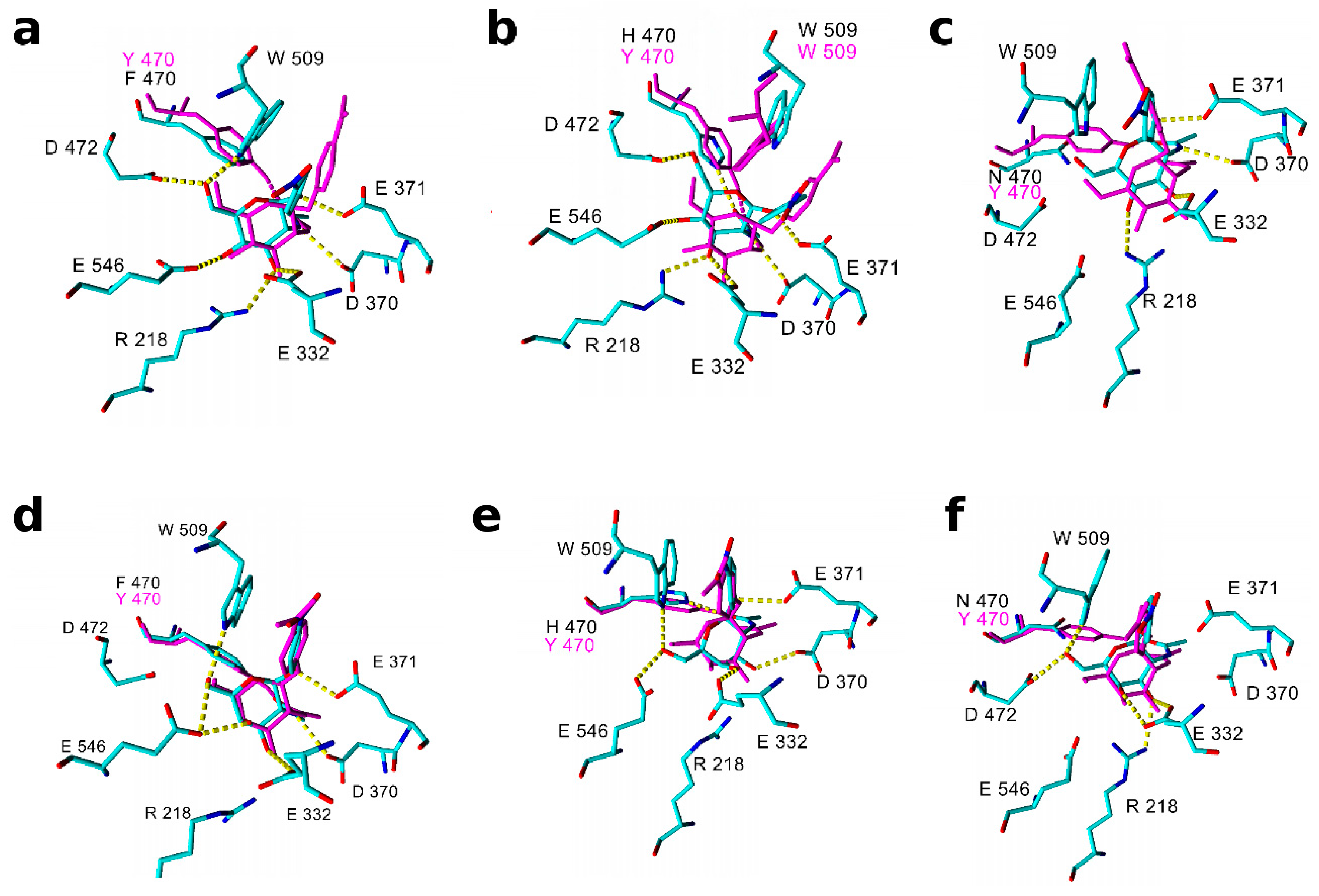 Molecules 24 00599 g002