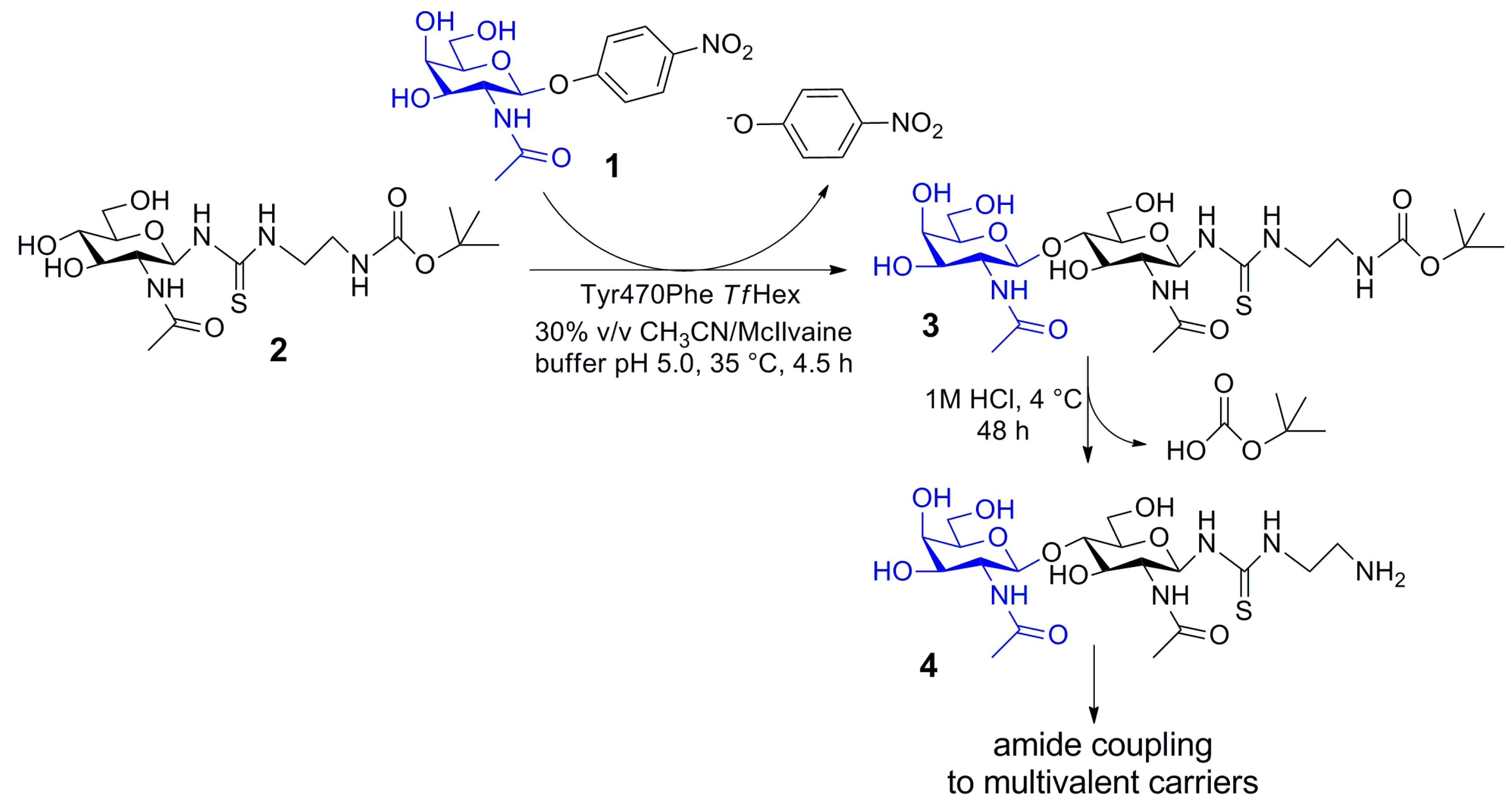 Molecules 24 00599 sch001