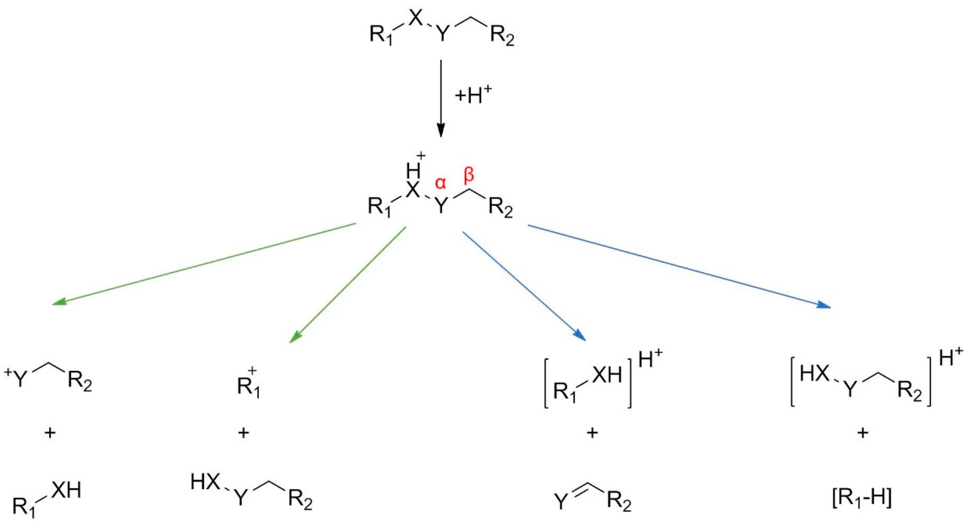 Molecules 24 00611 sch001