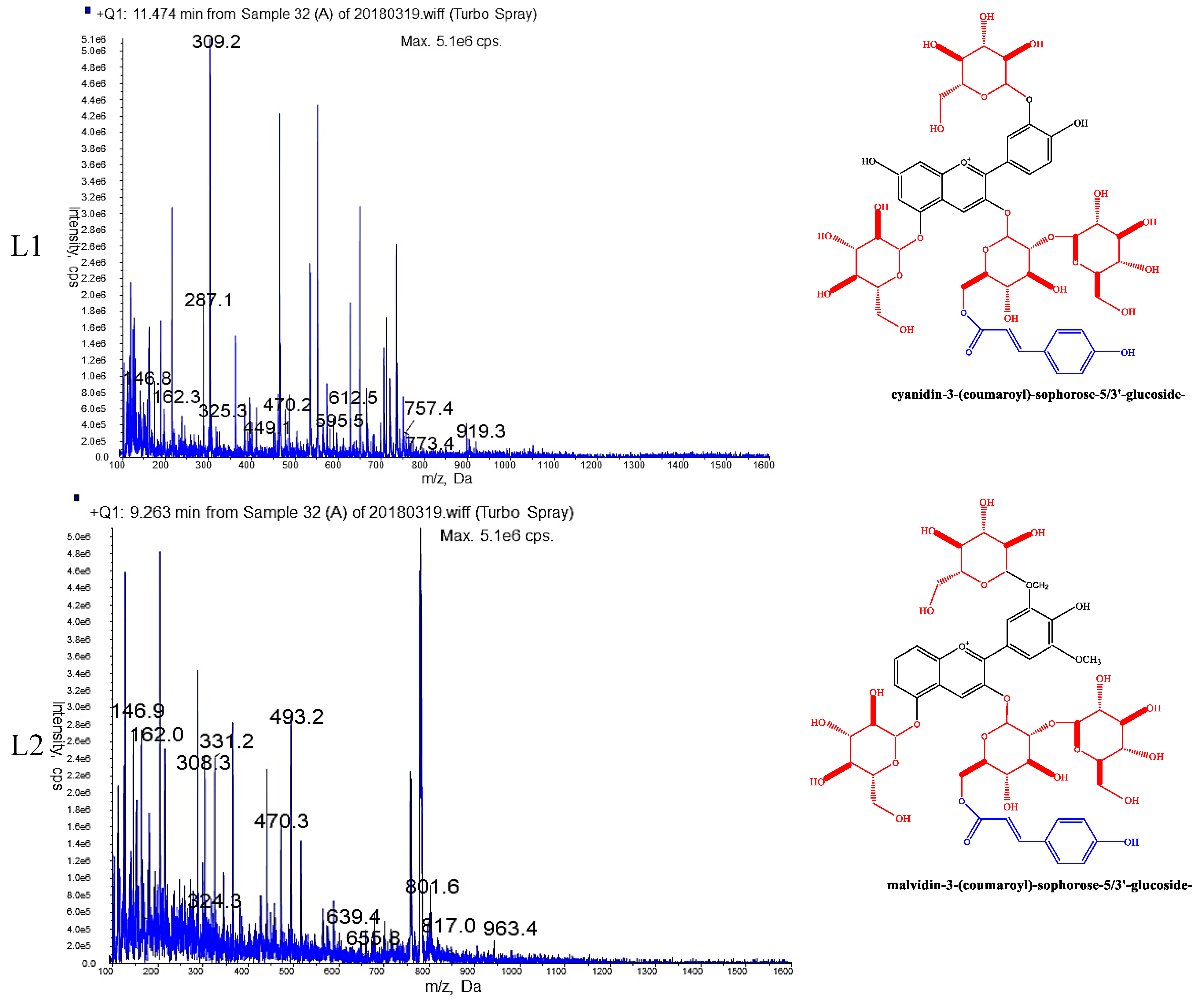 Molecules 24 00615 g004a