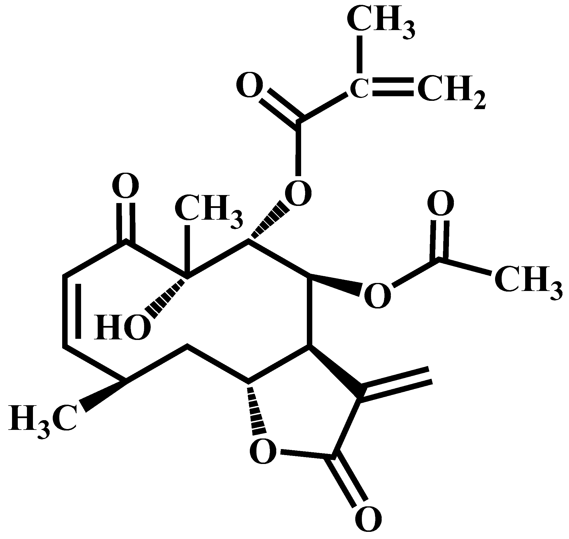Molecules 24 00622 g001