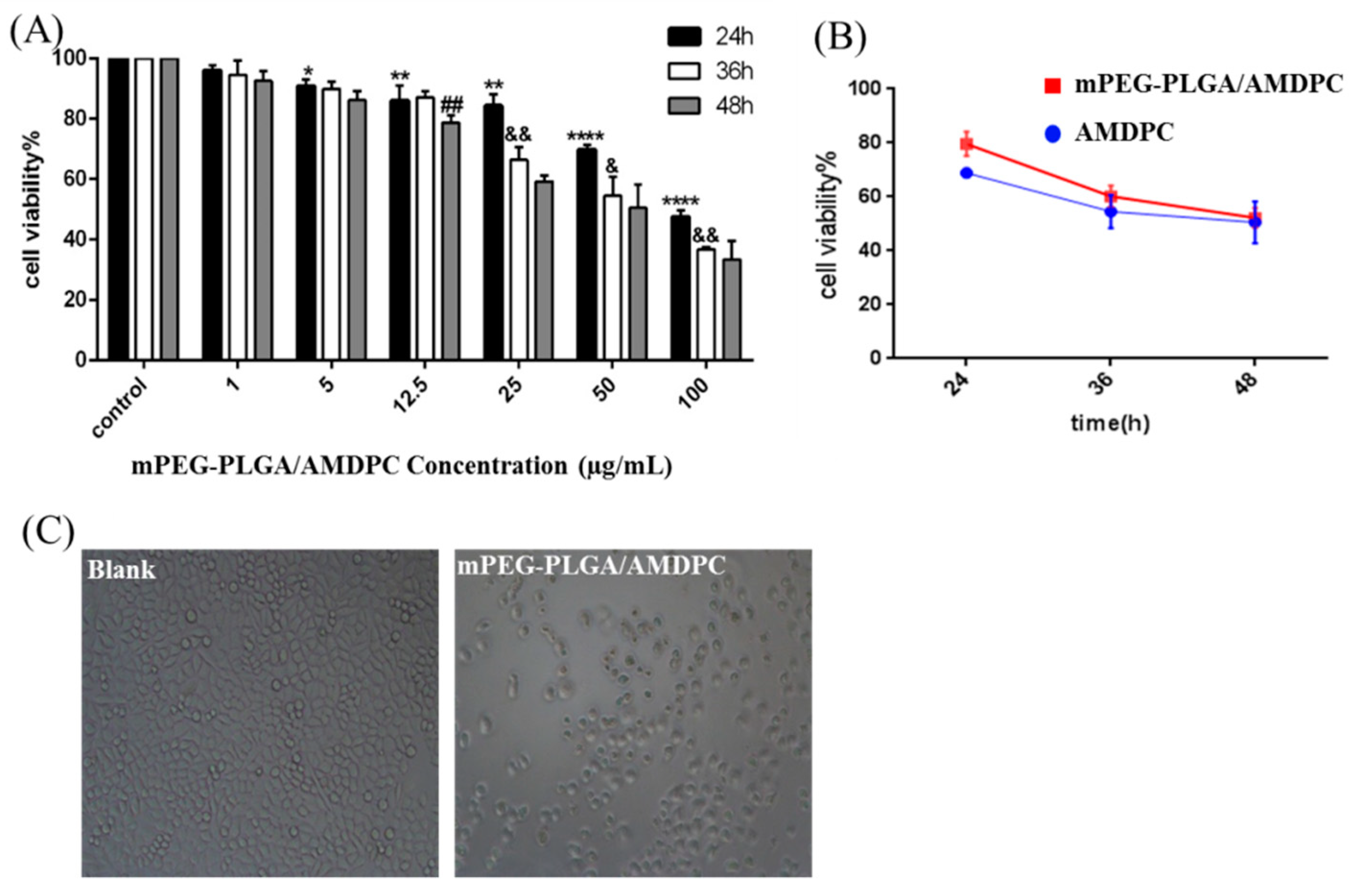 Molecules 24 00624 g004