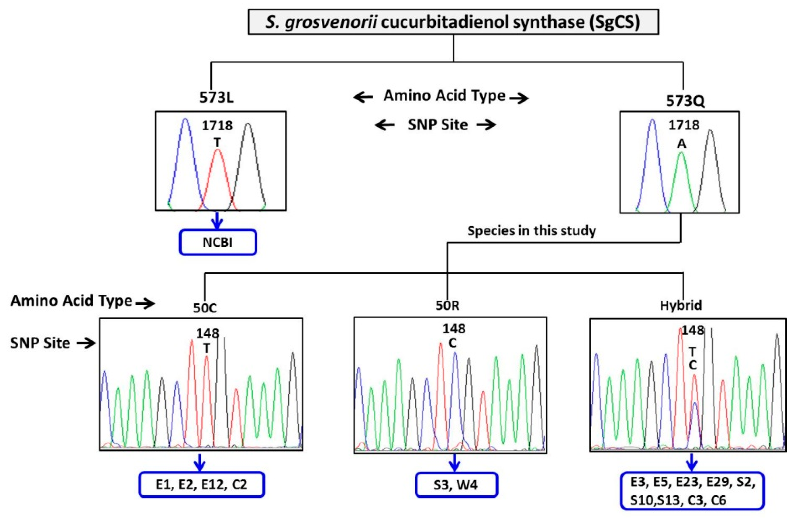Molecules 24 00627 g004