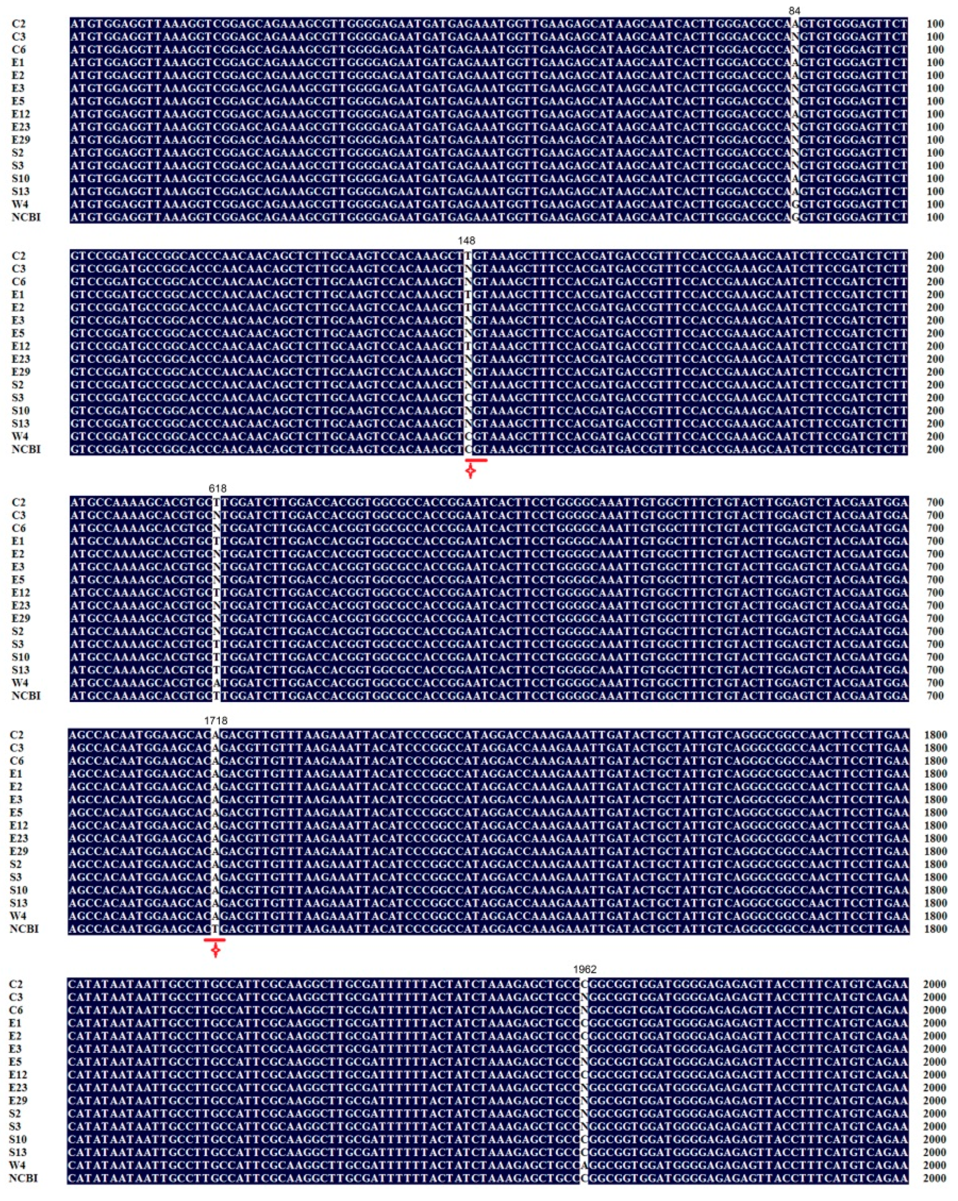 Molecules 24 00627 g0a2