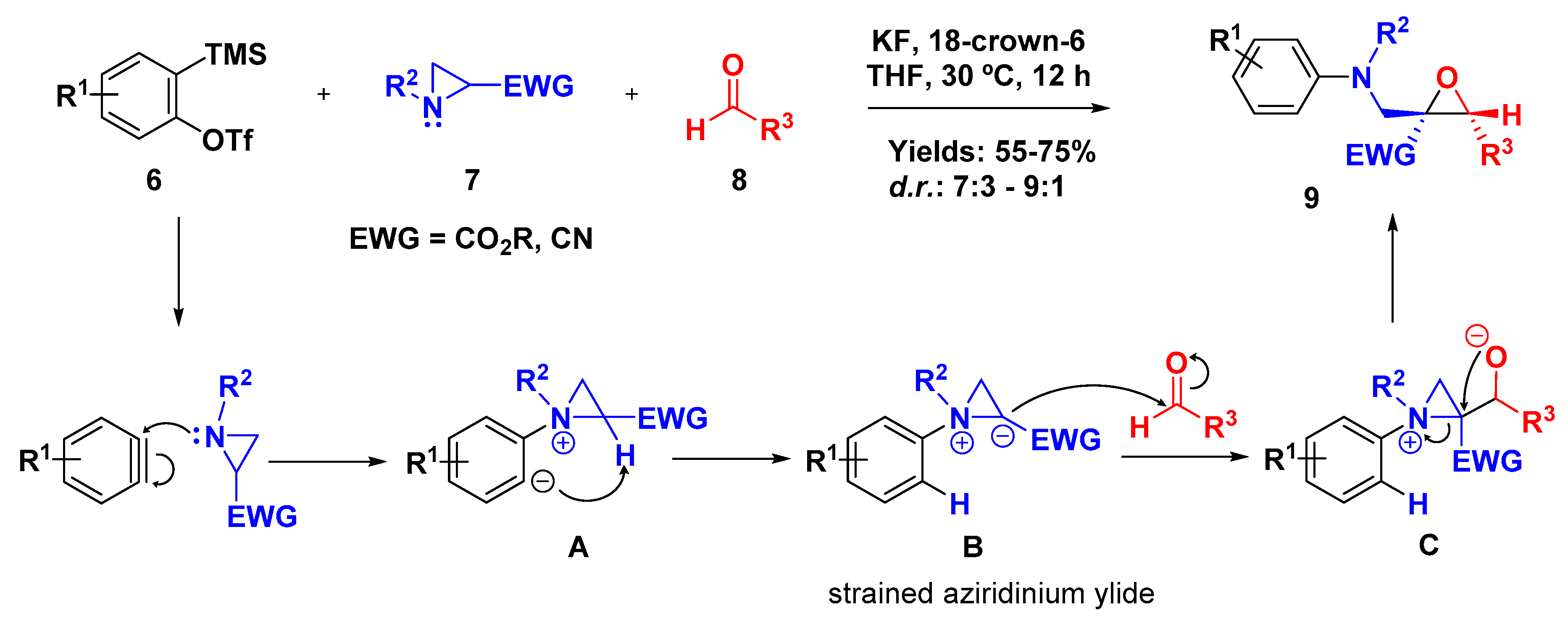 Molecules 24 00630 sch002 Molecules 24 00630 sch002