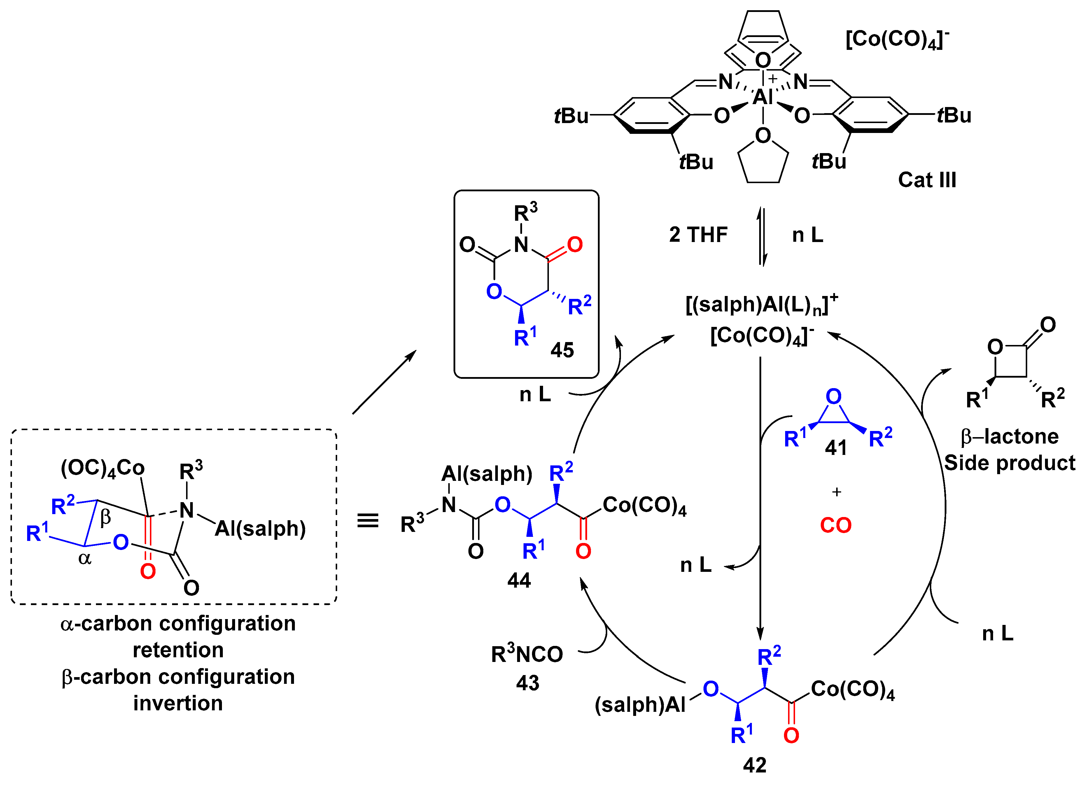 Molecules 24 00630 sch011 Molecules 24 00630 sch011