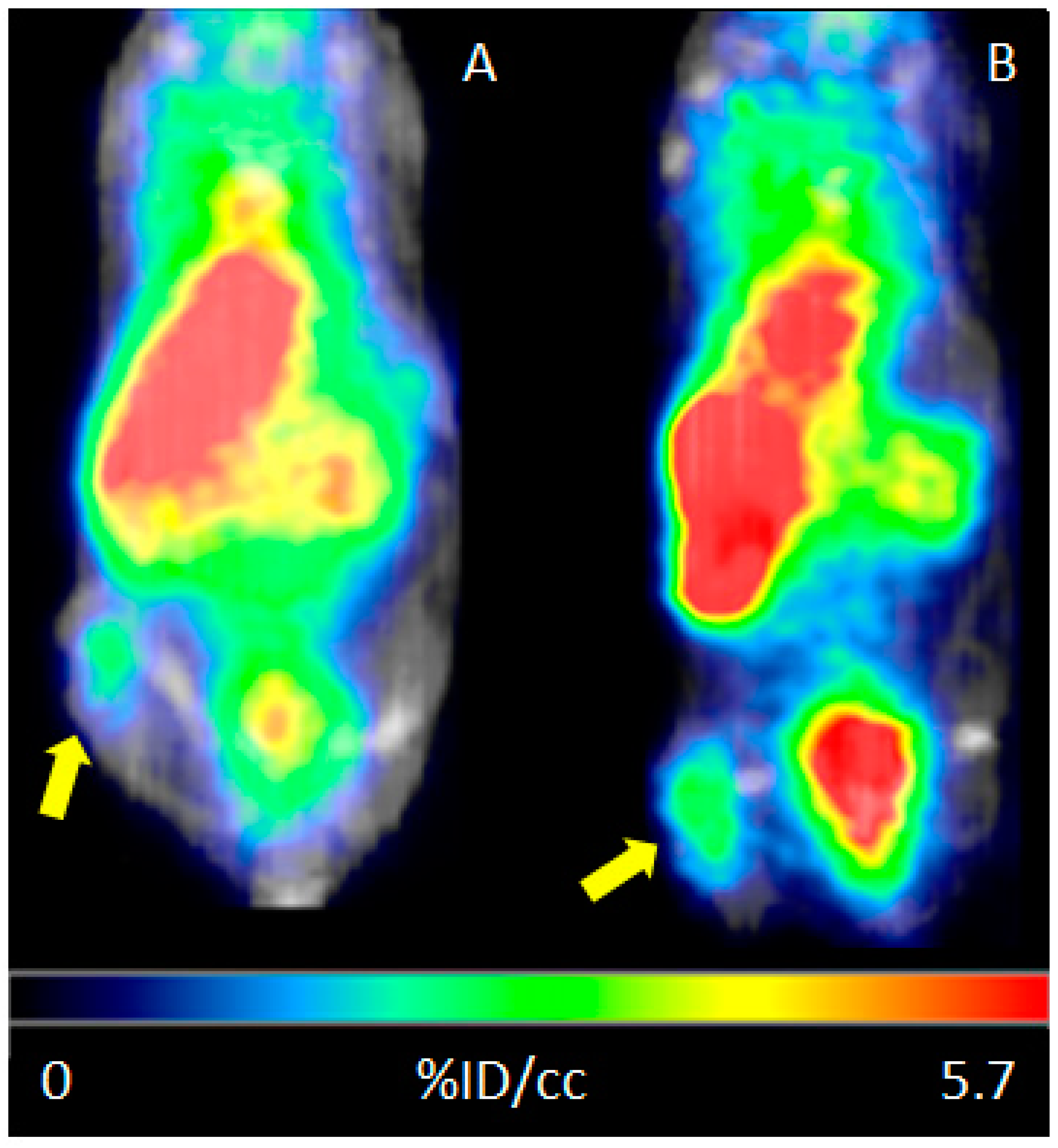 Molecules 24 00644 g008
