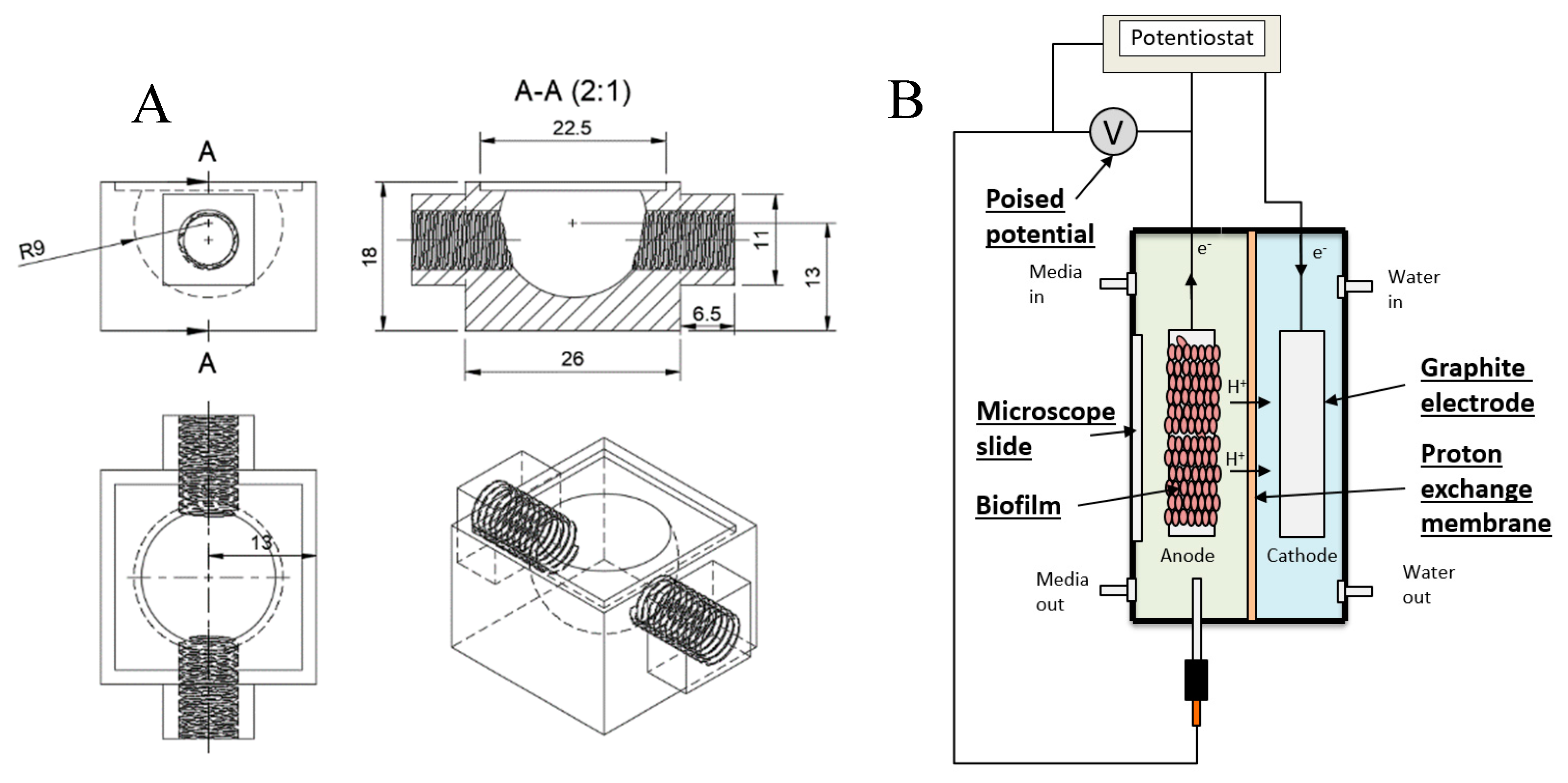 Molecules 24 00646 g009