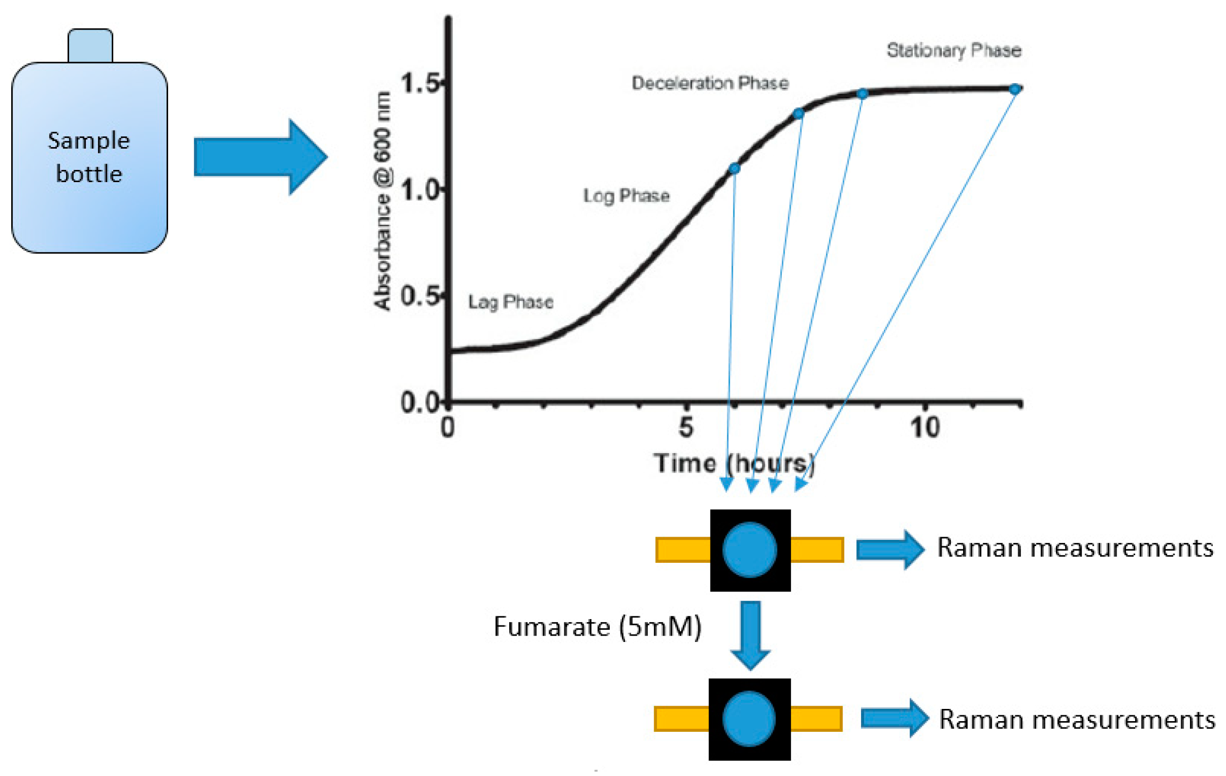 Molecules 24 00646 g010