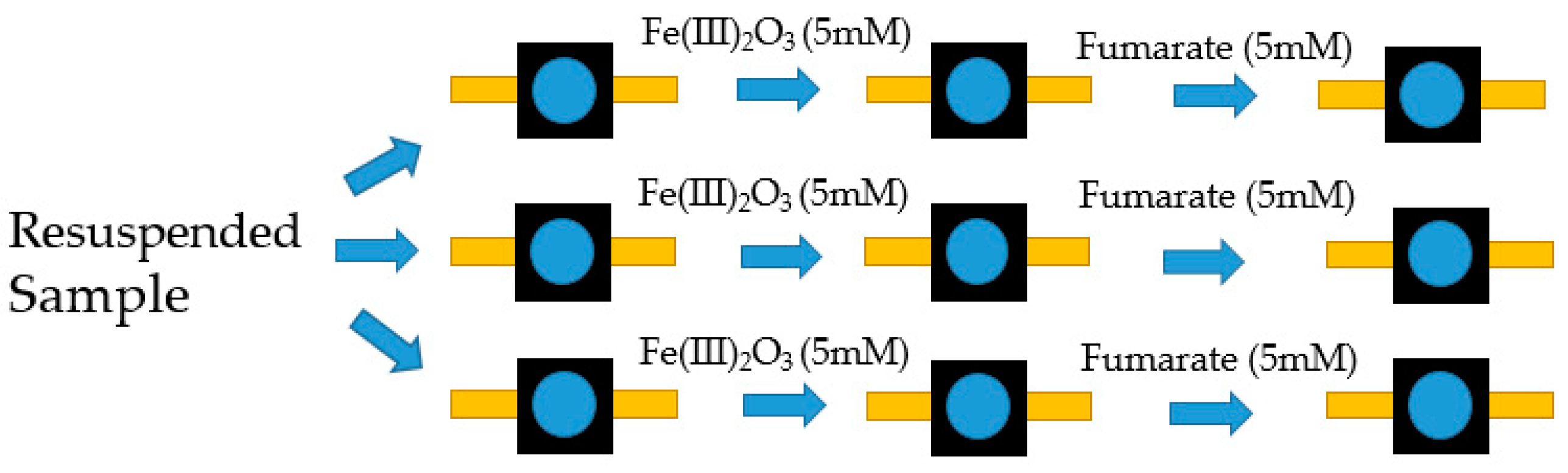 Molecules 24 00646 g011