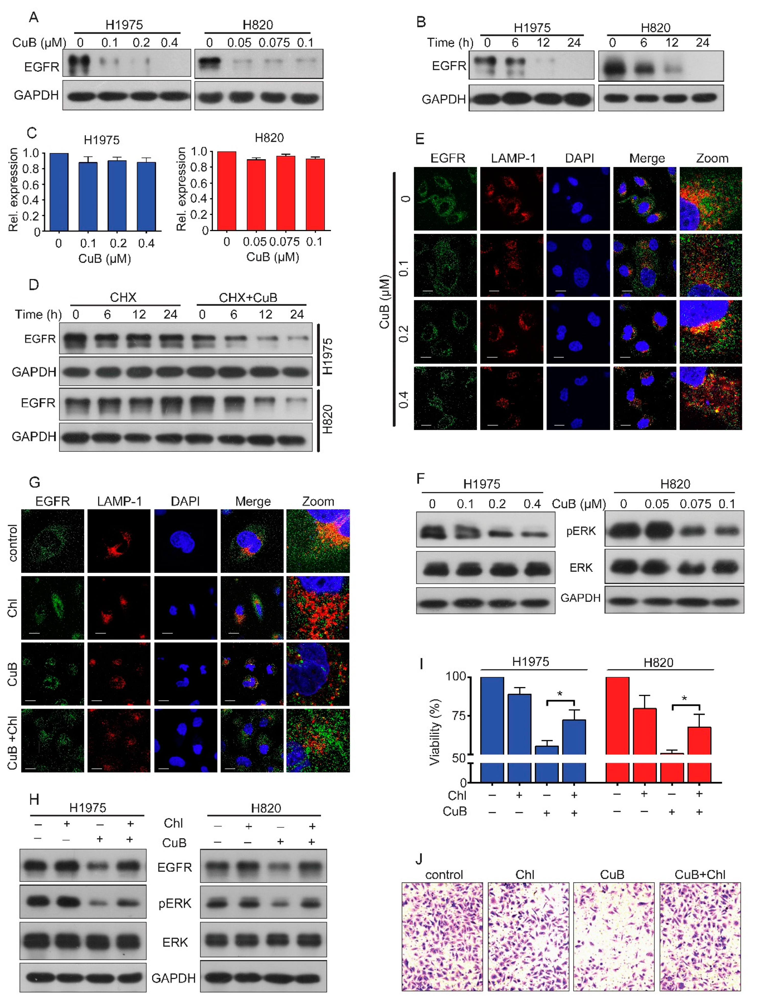 Molecules 24 00647 g003