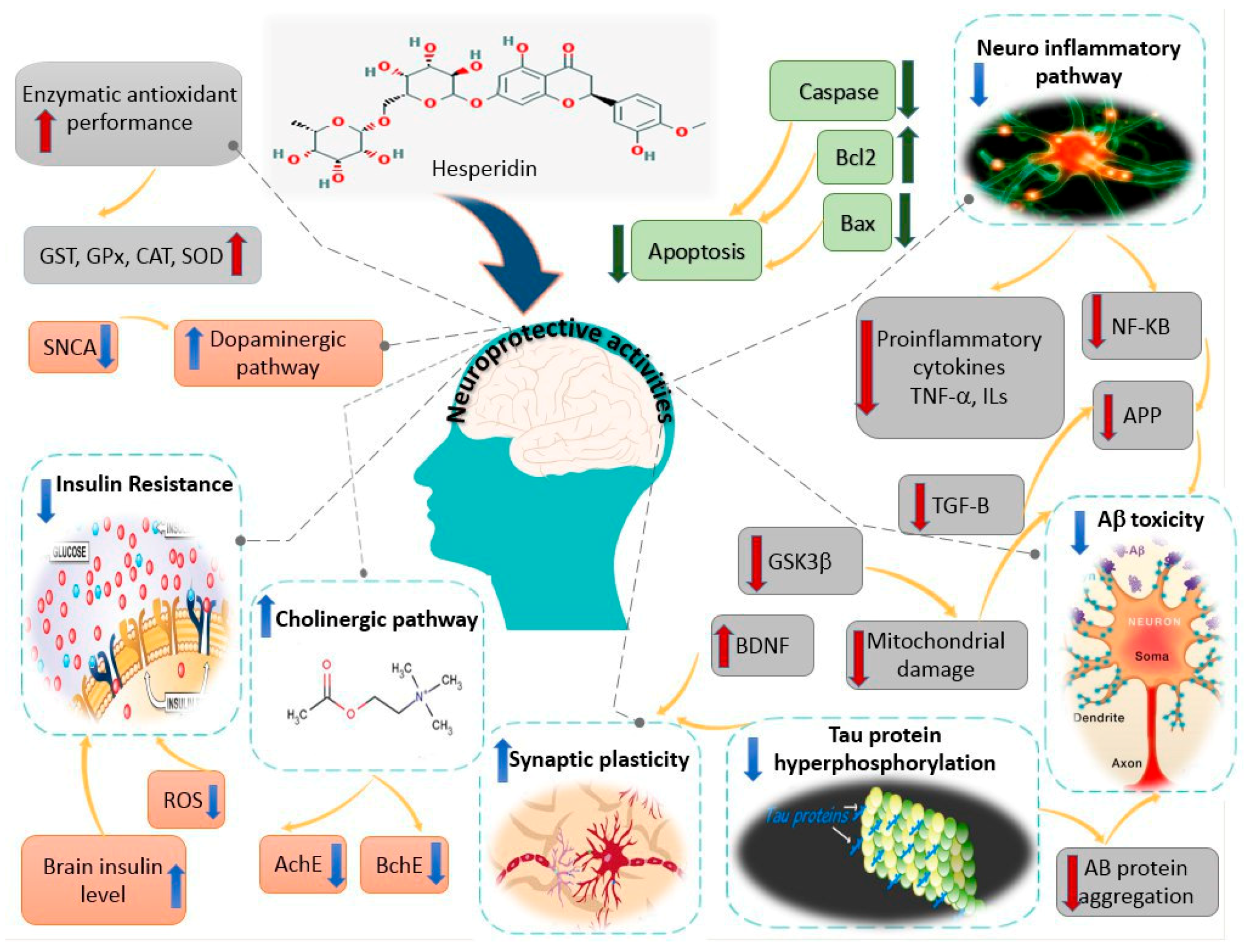 Molecules 24 00648 g002