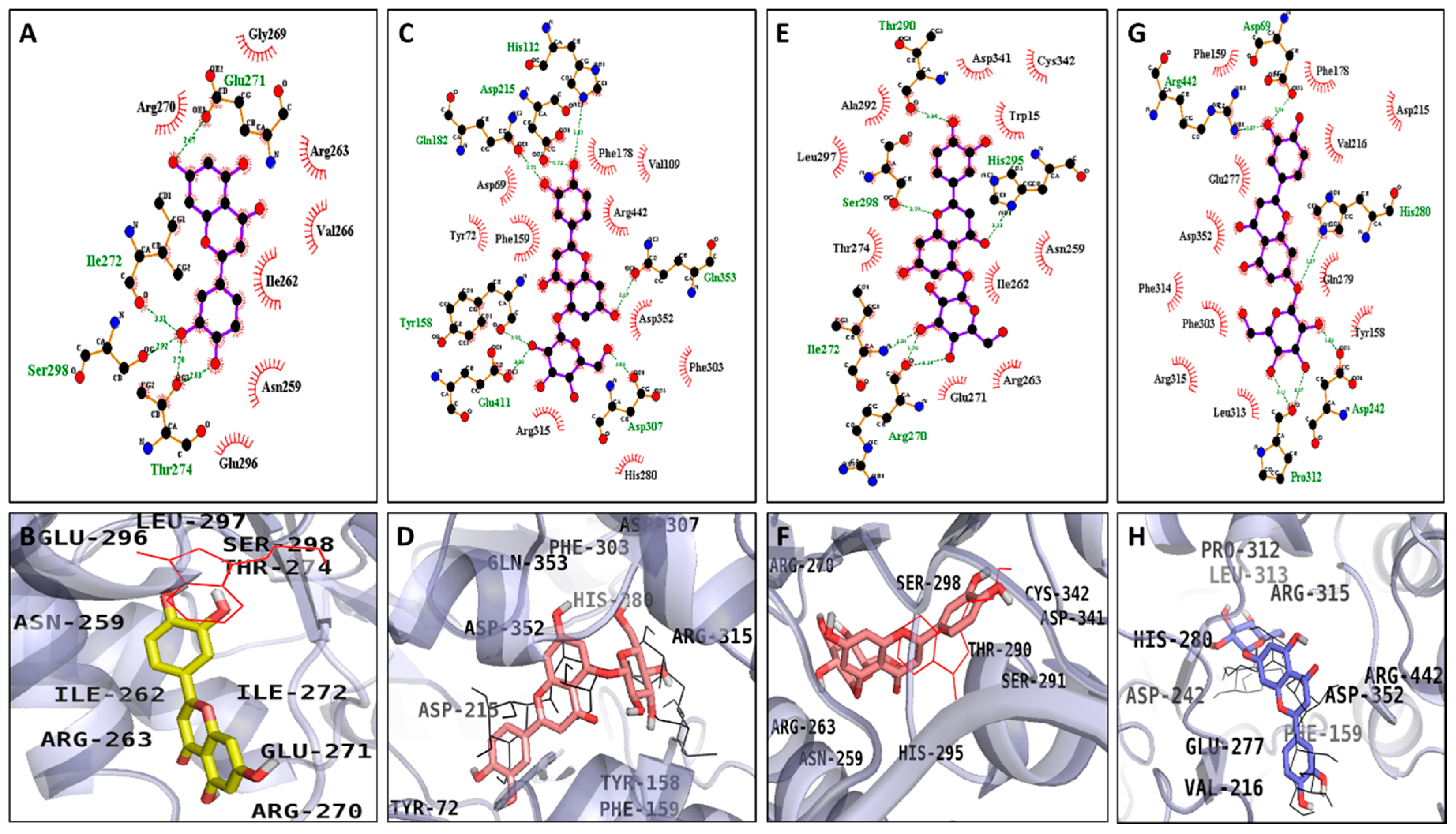 Molecules 24 00649 g006 Molecules 24 00649 g006