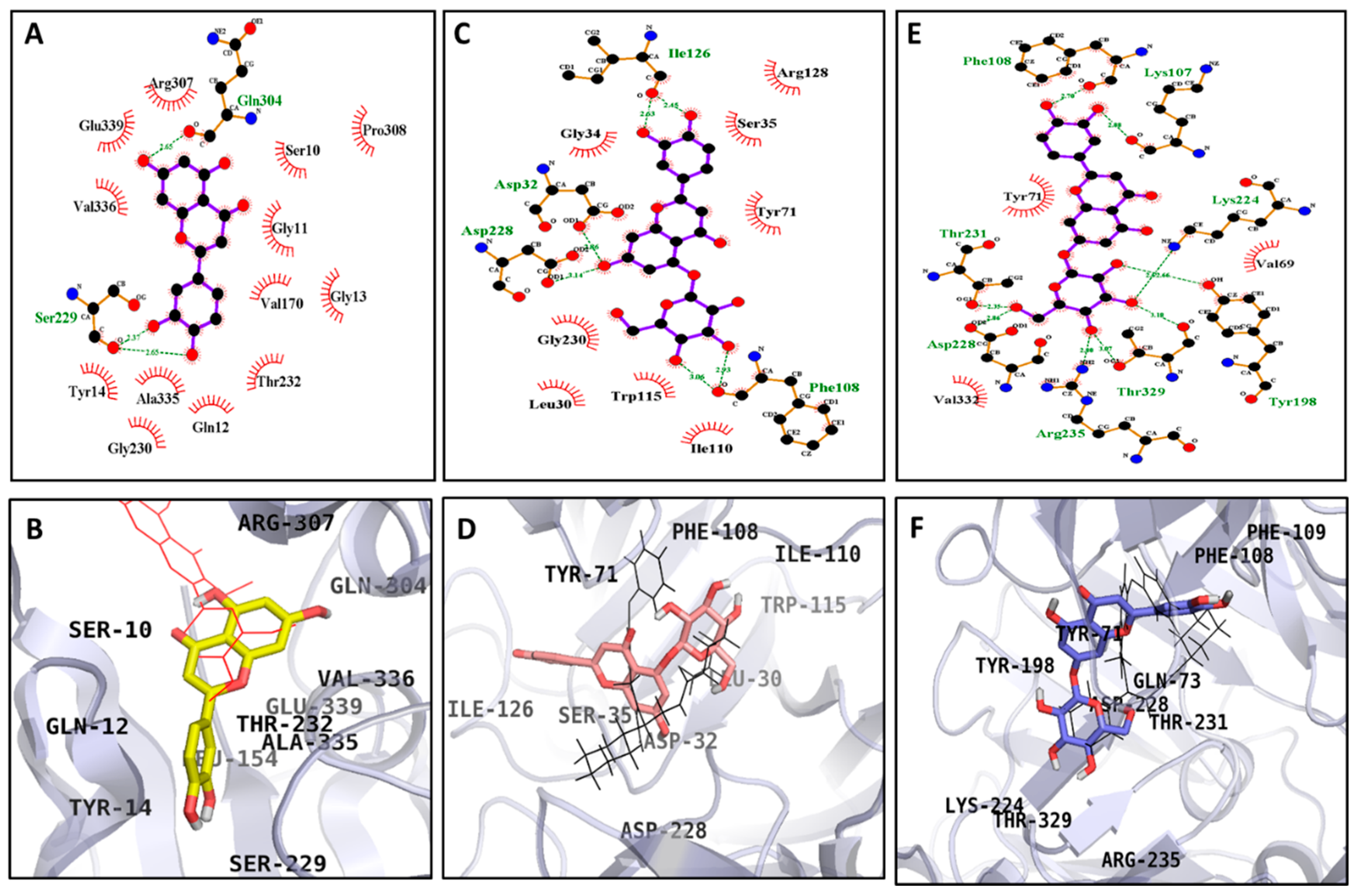 Molecules 24 00649 g007 Molecules 24 00649 g007