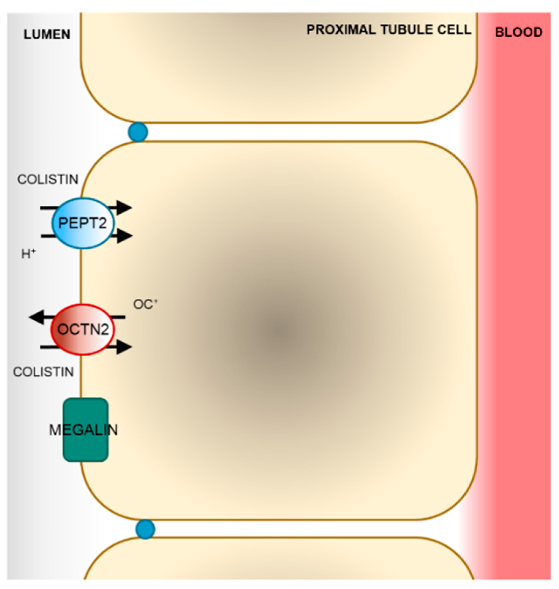 Molecules 24 00653 g004