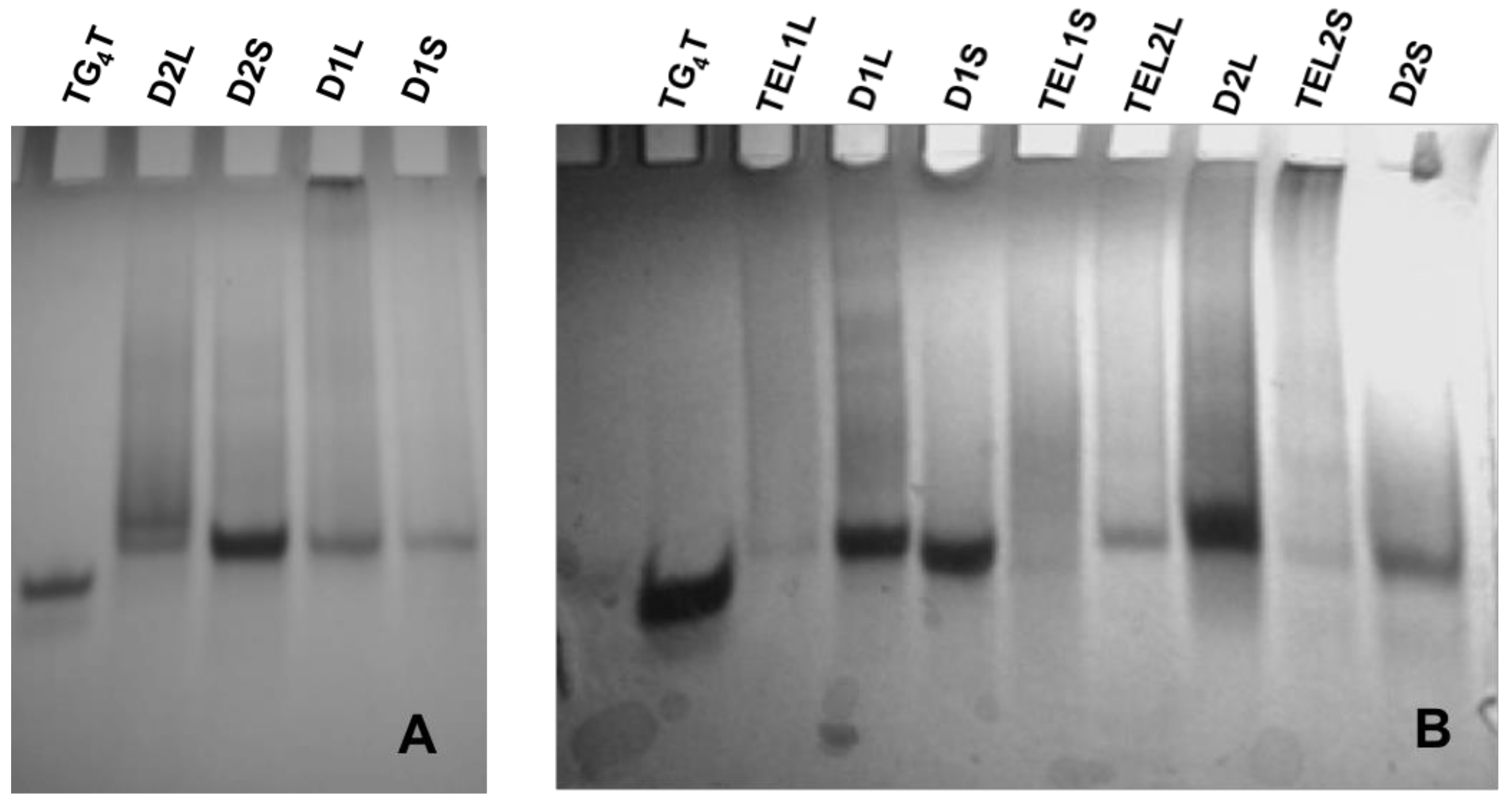 Molecules 24 00654 g002