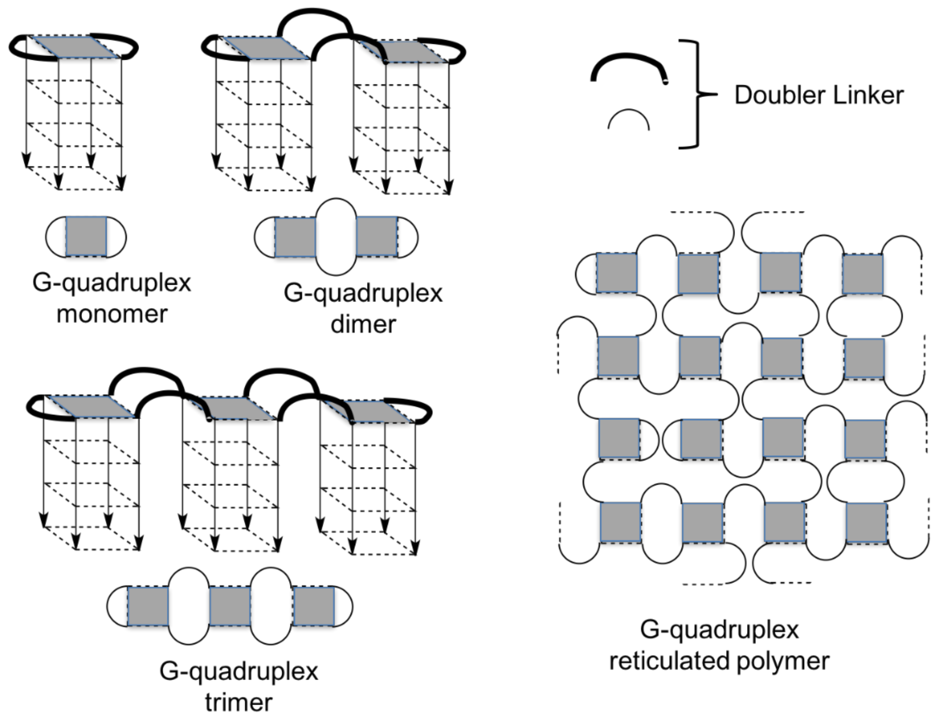 Molecules 24 00654 g004