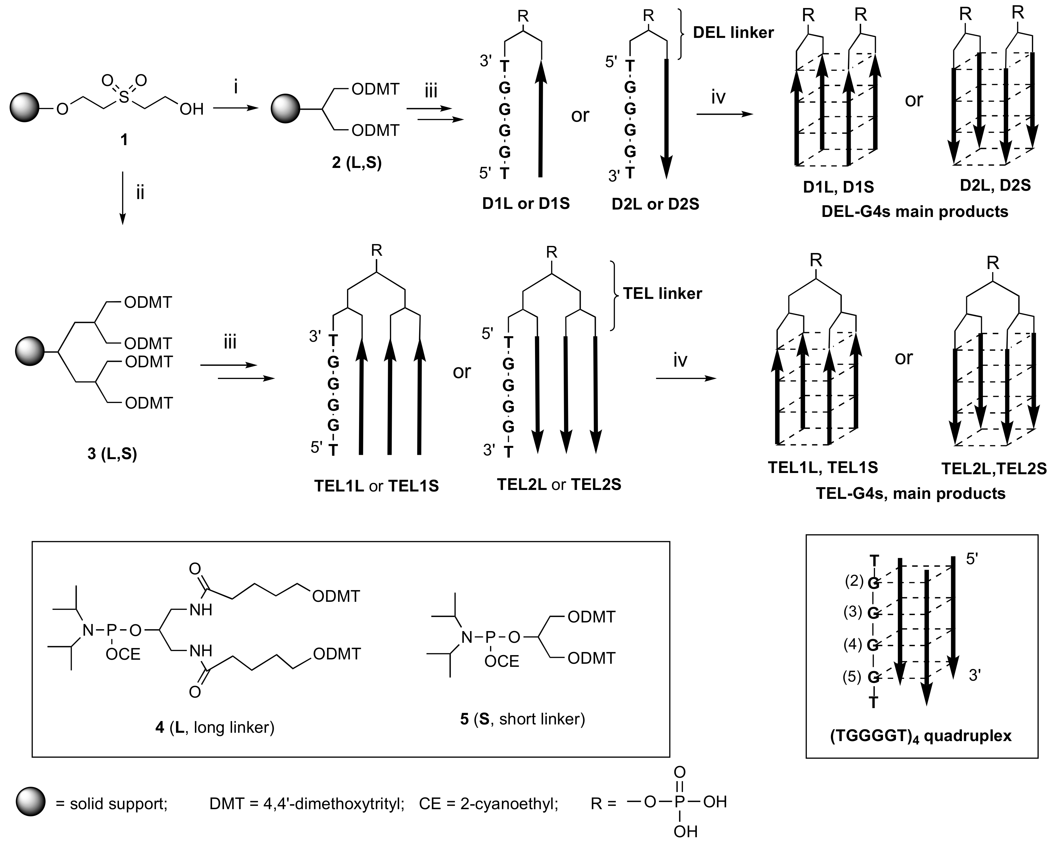 Molecules 24 00654 sch001