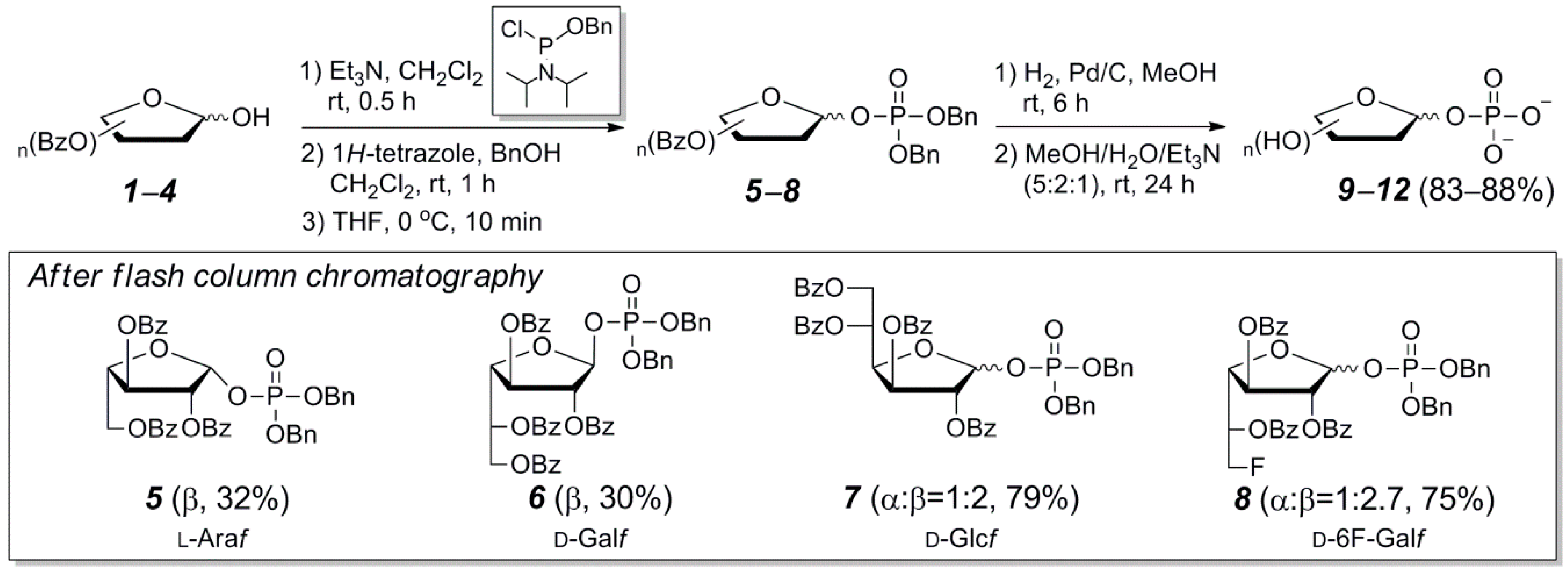 Molecules 24 00655 sch001