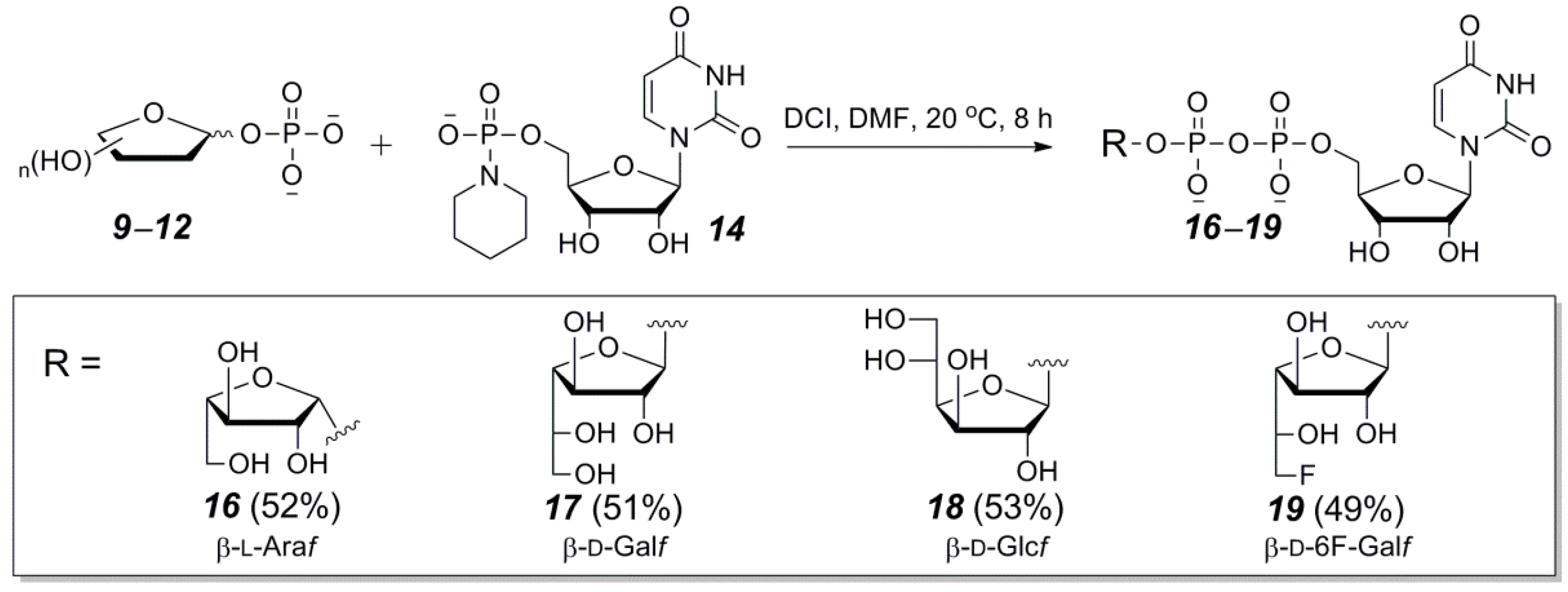 Molecules 24 00655 sch003