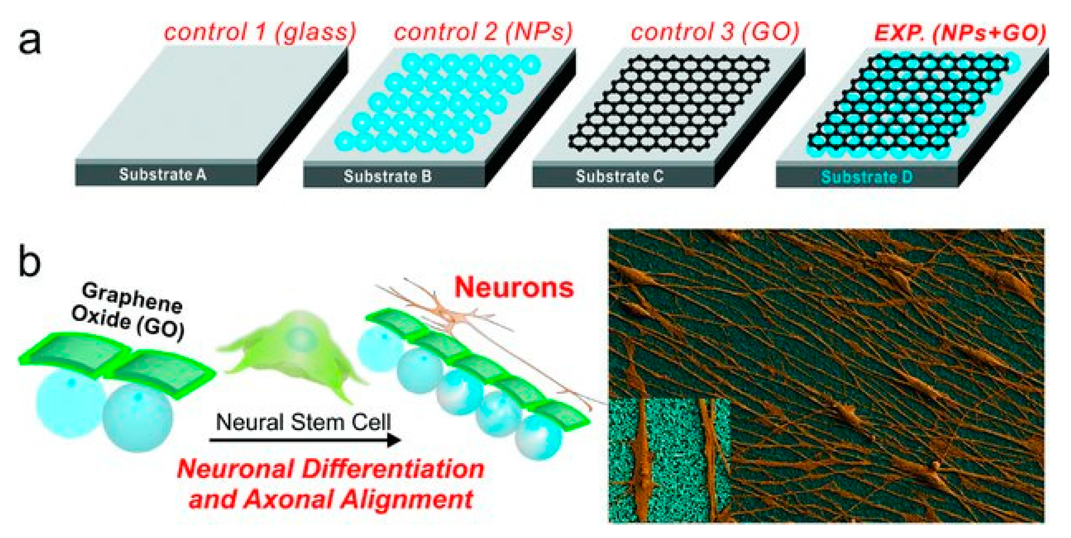 Molecules 24 00658 g002