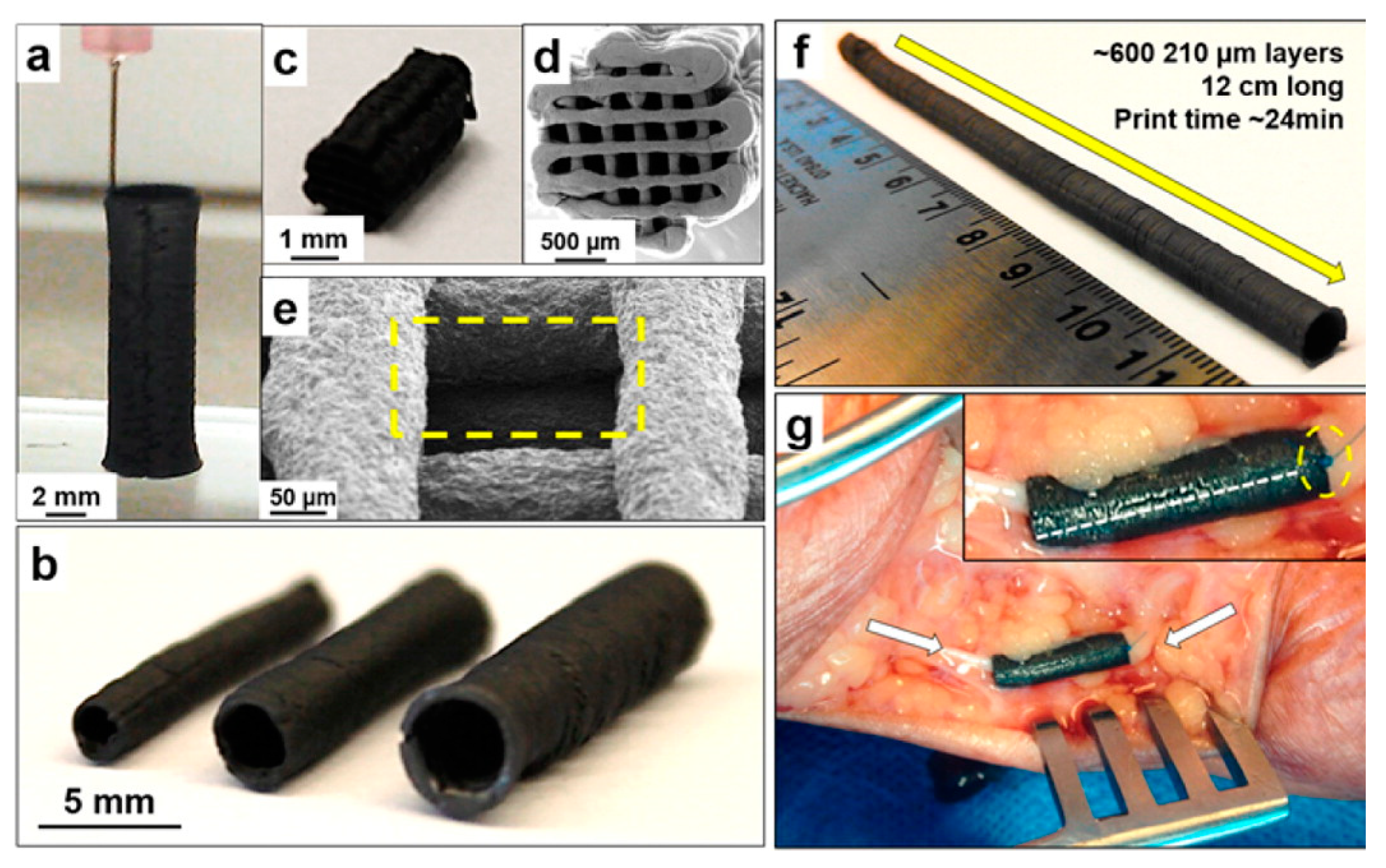 Molecules 24 00658 g003
