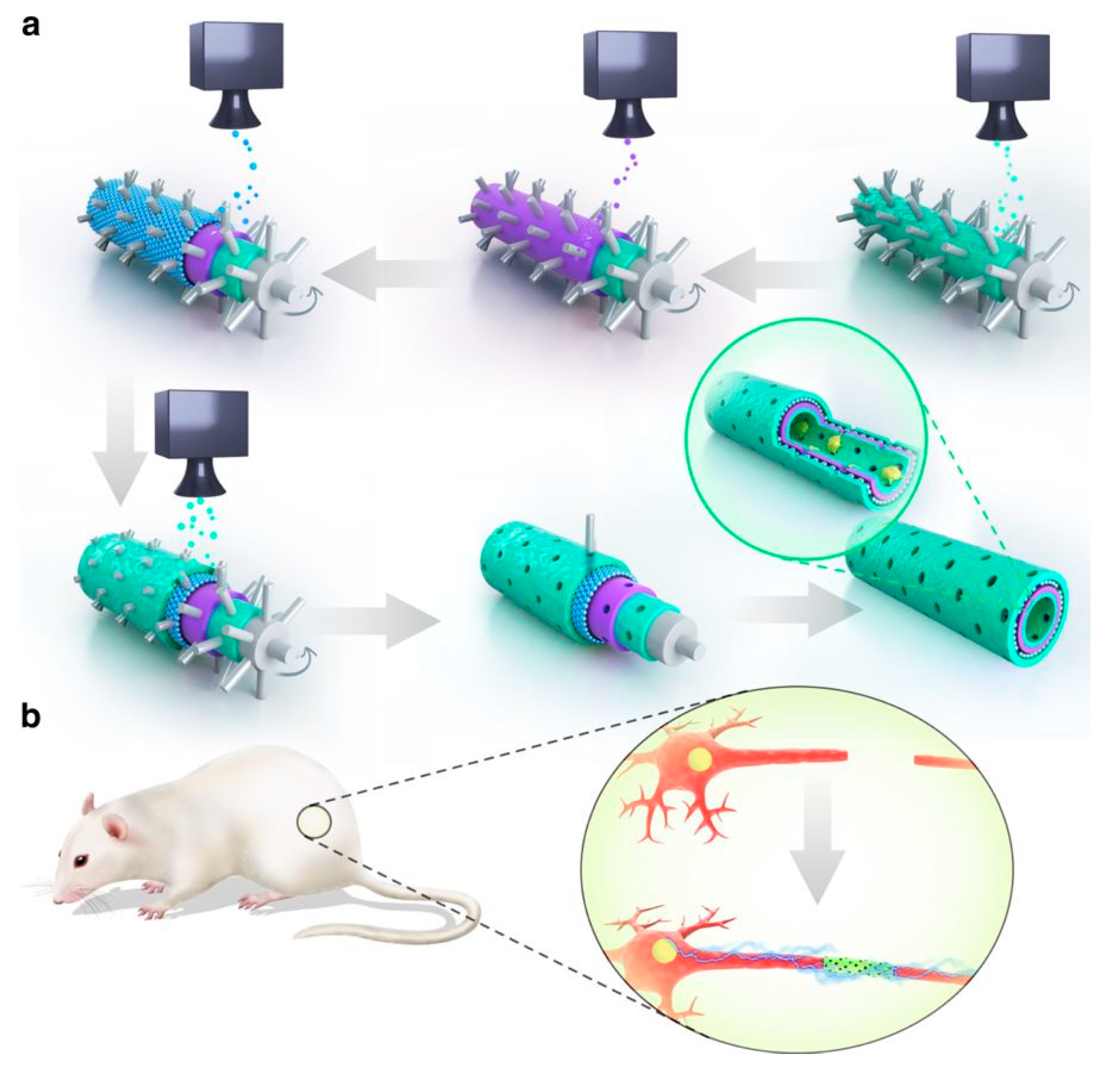 Molecules 24 00658 g004