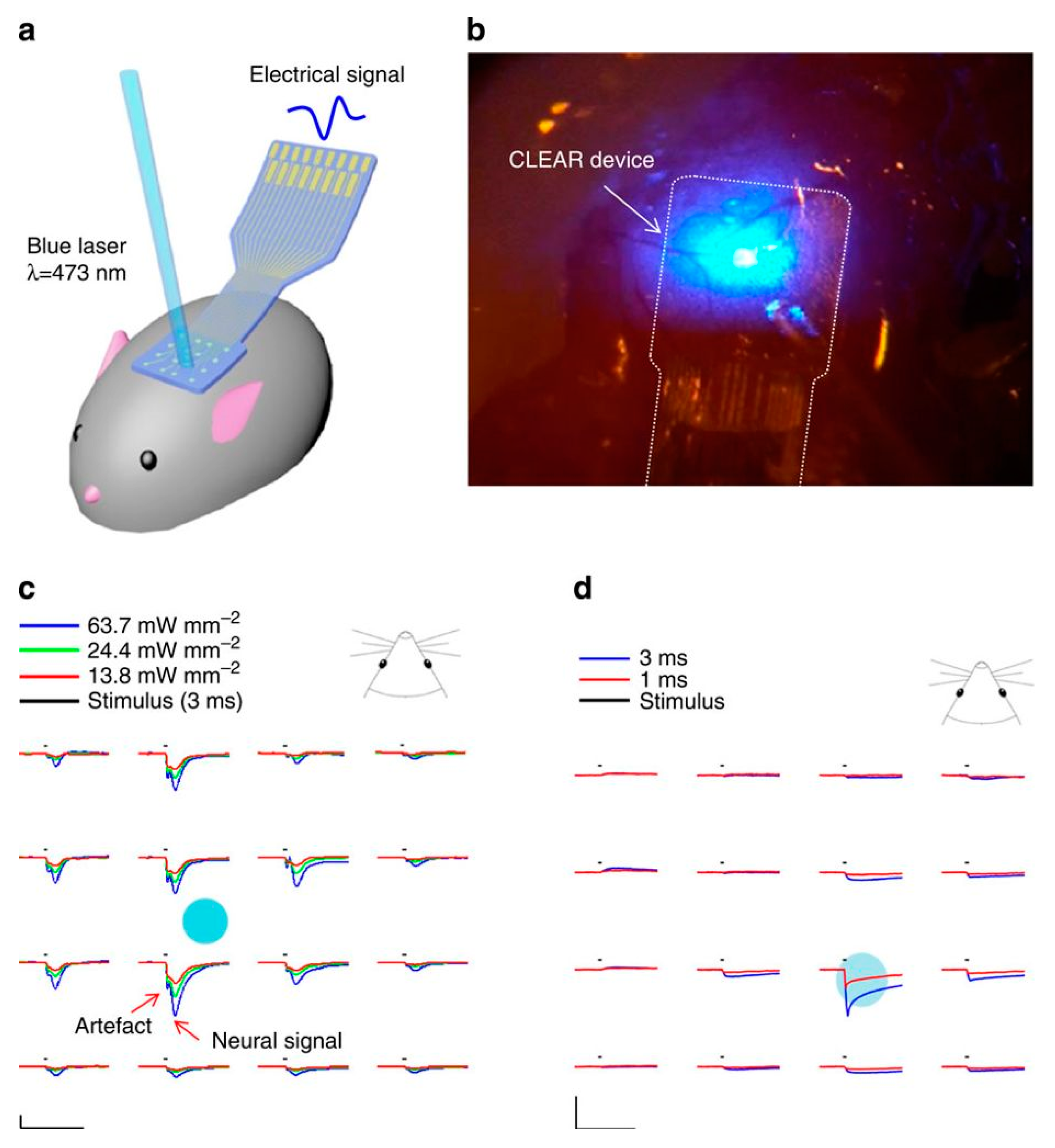 Molecules 24 00658 g005