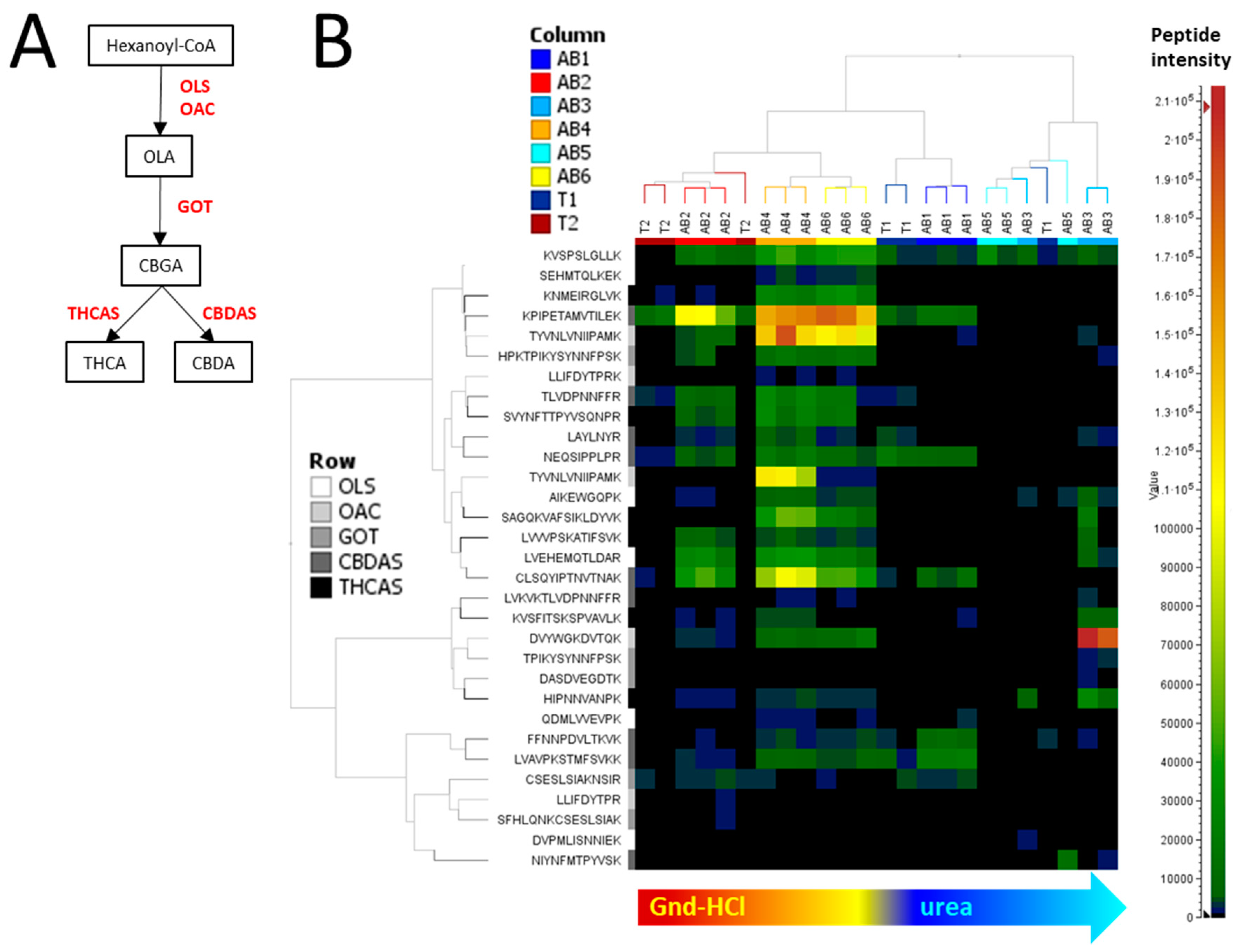 Molecules 24 00659 g006