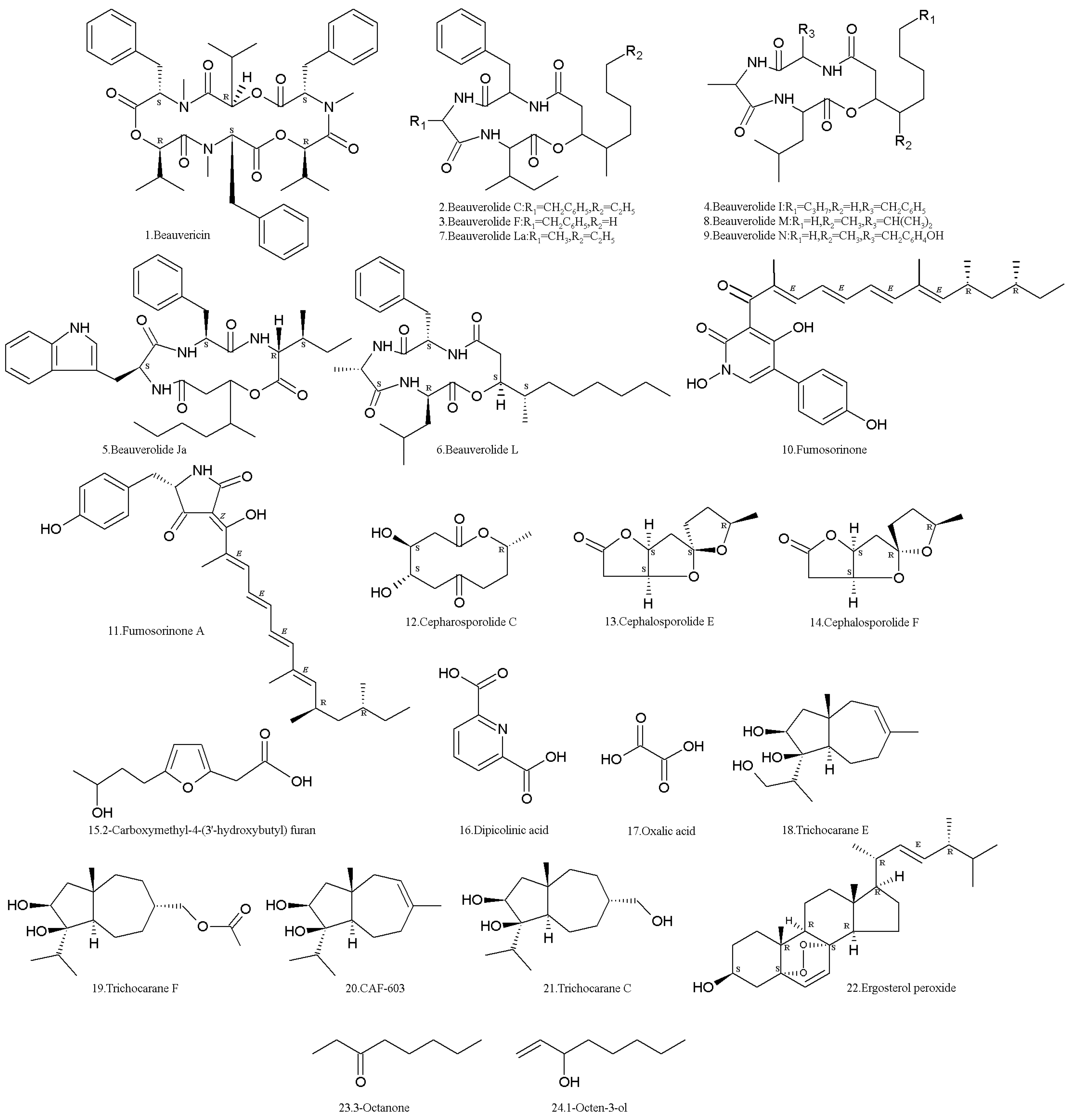 Molecules 24 00664 g001