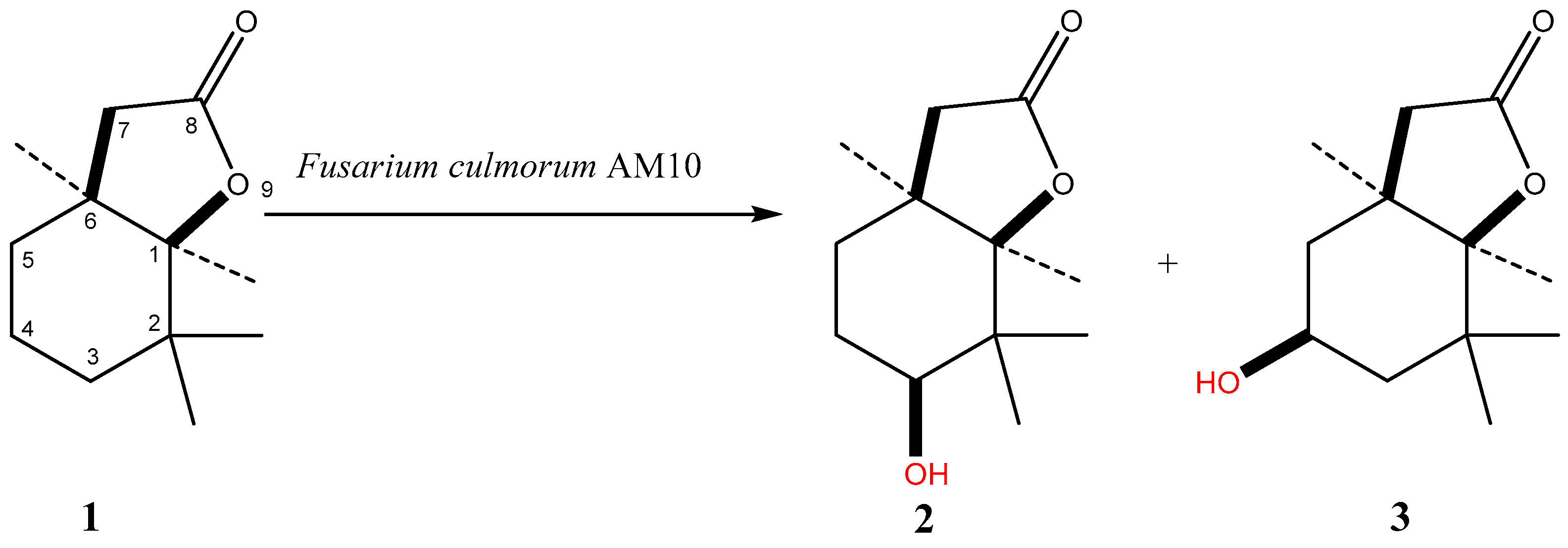 Molecules 24 00666 sch001