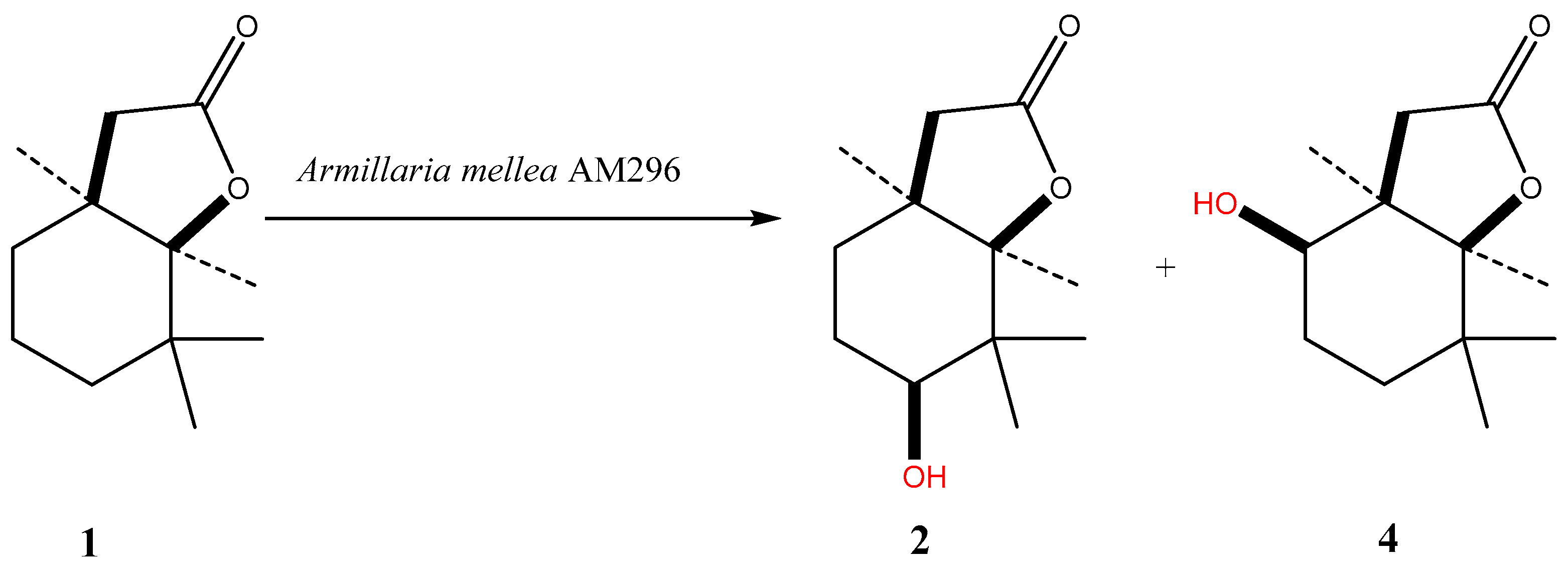 Molecules 24 00666 sch002