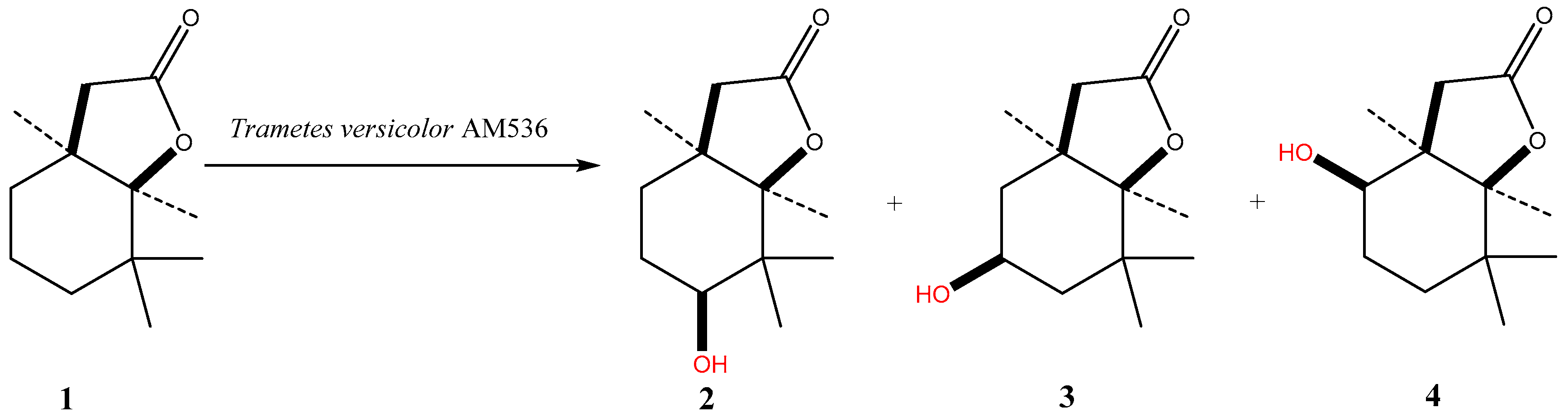 Molecules 24 00666 sch003