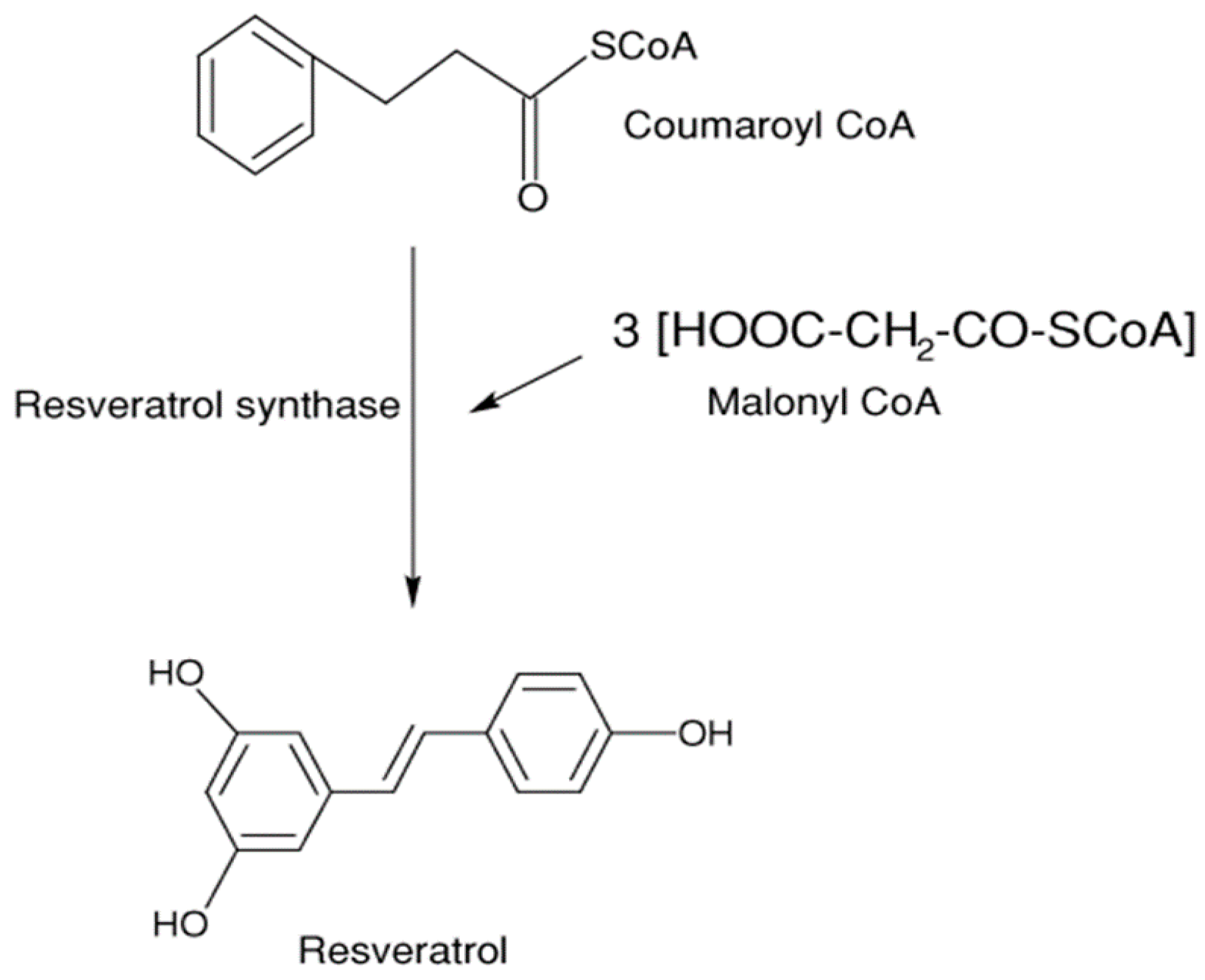 Molecules 24 00667 g002