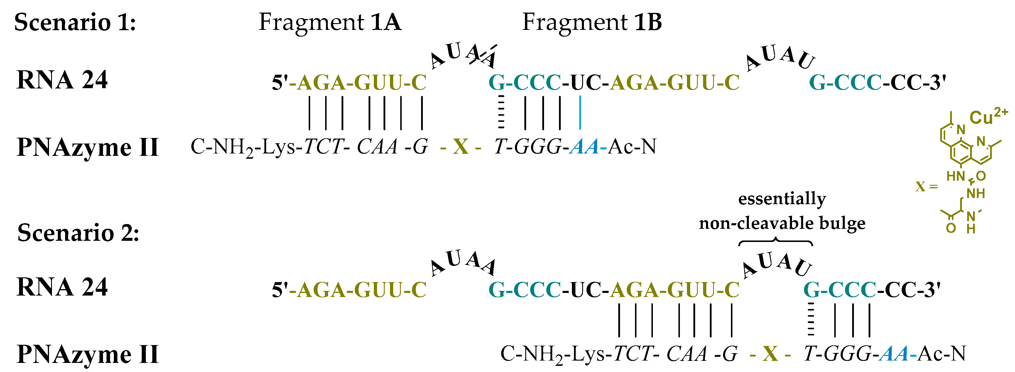 Molecules 24 00672 g002