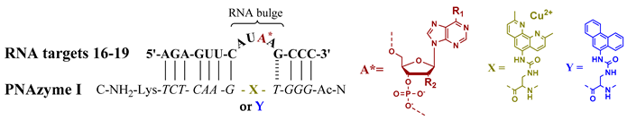 Molecules 24 00672 i002