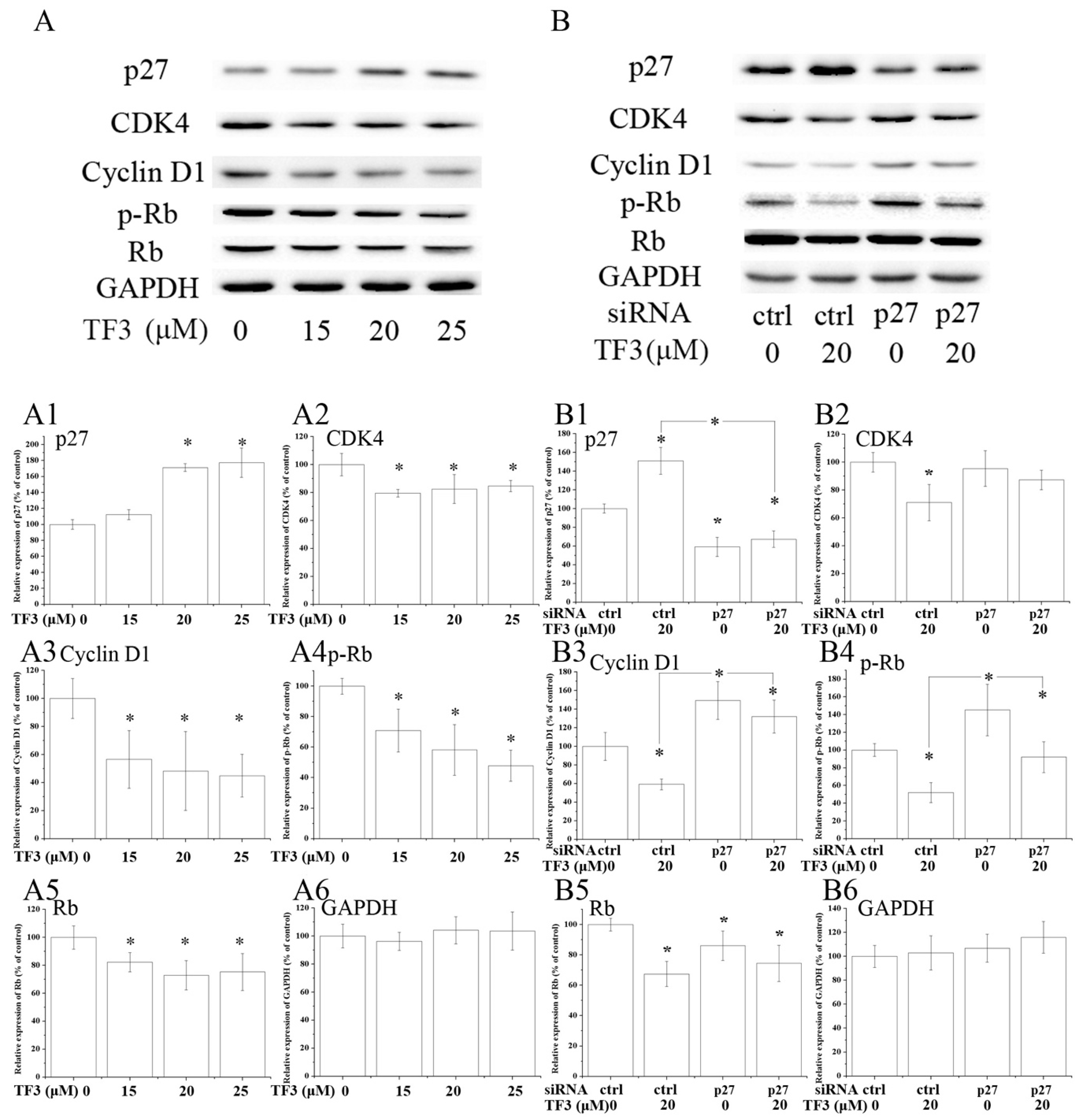 Molecules 24 00673 g004
