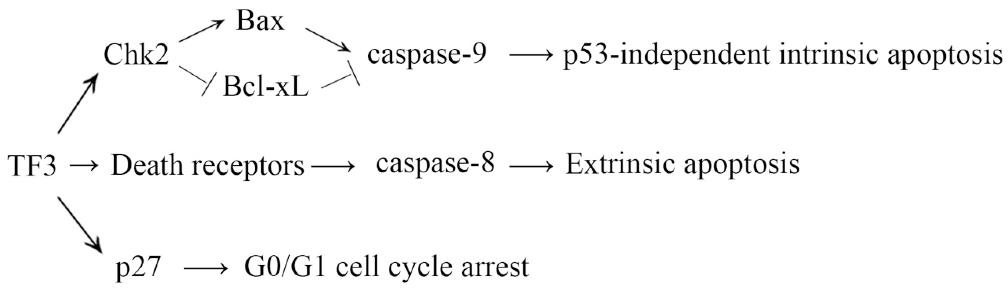 Molecules 24 00673 g005