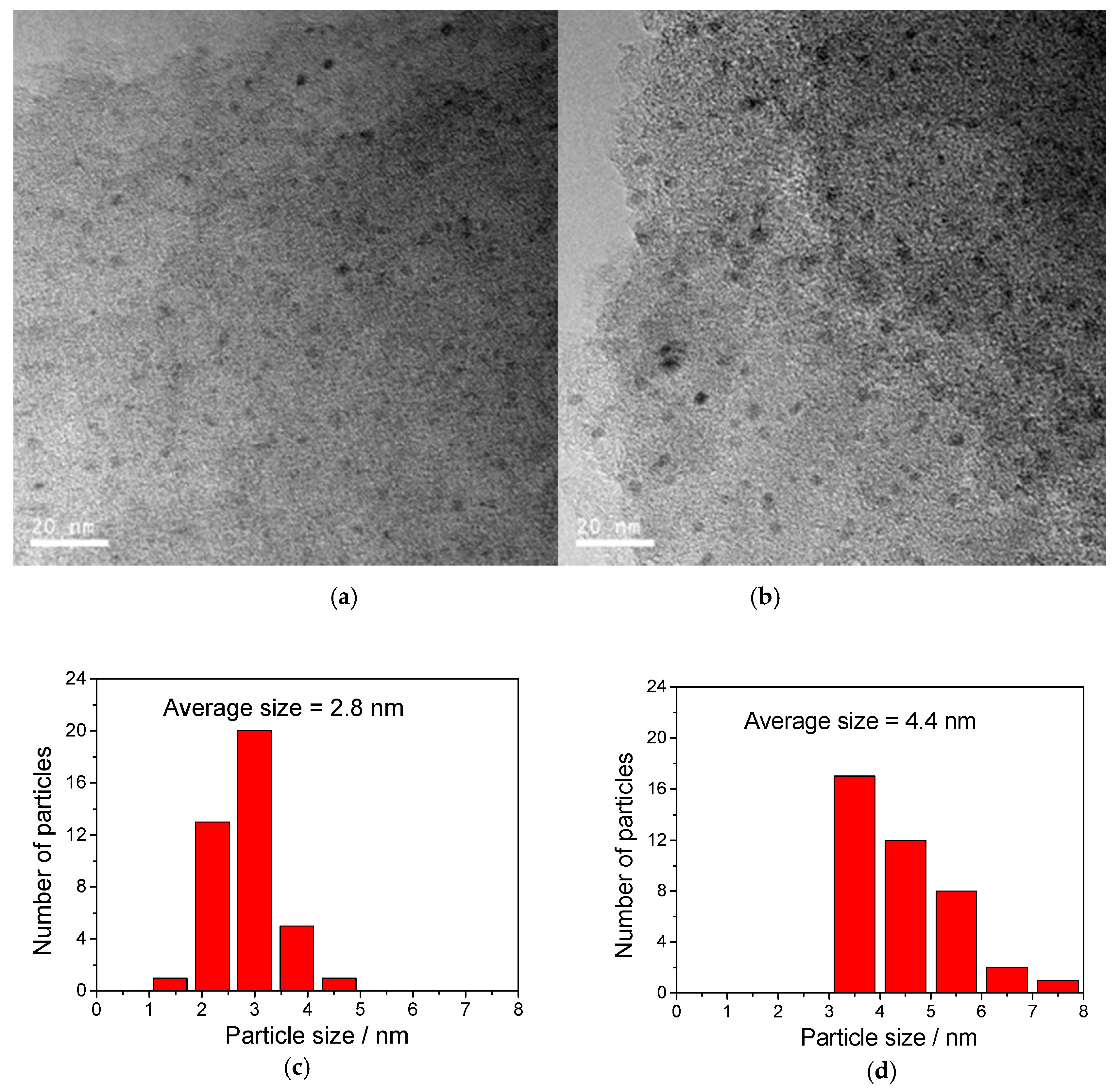 Molecules 24 00674 g007