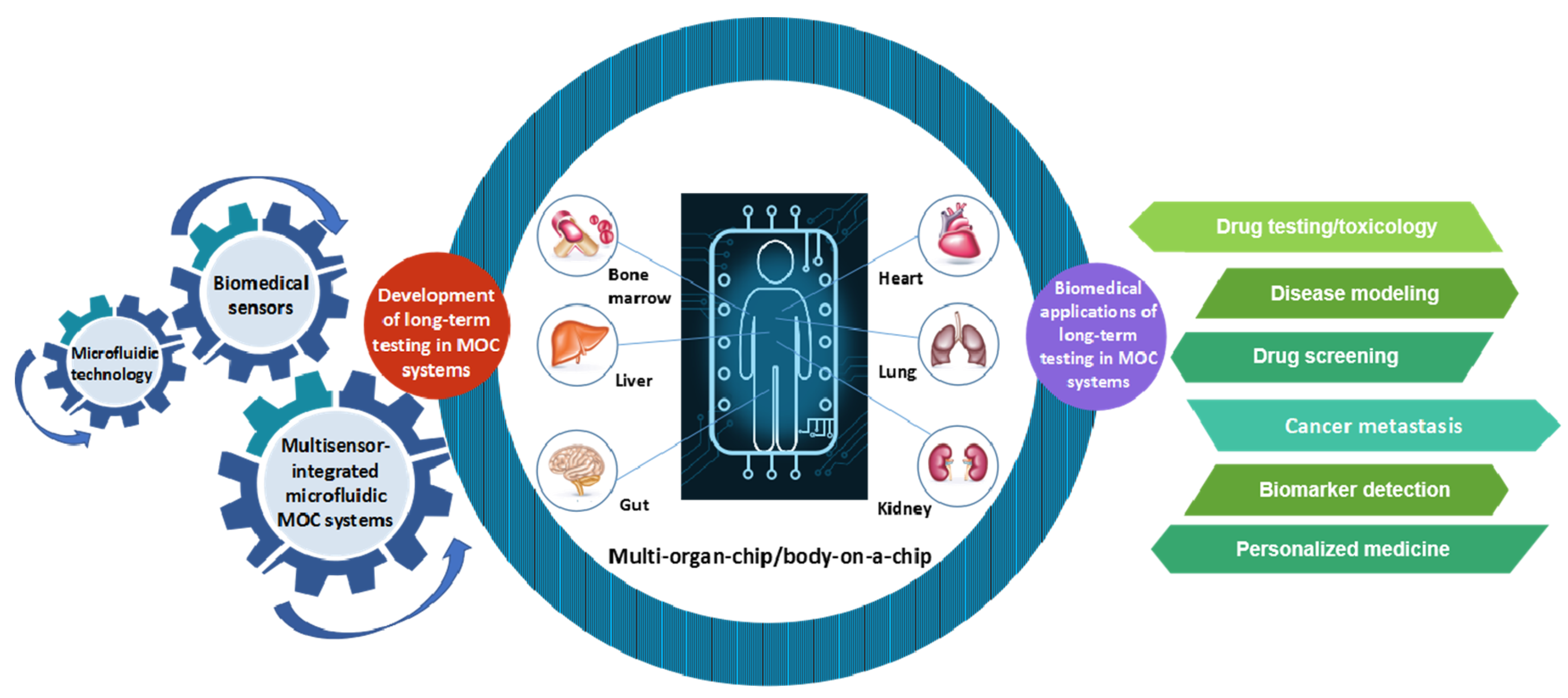 Molecules 24 00675 g001