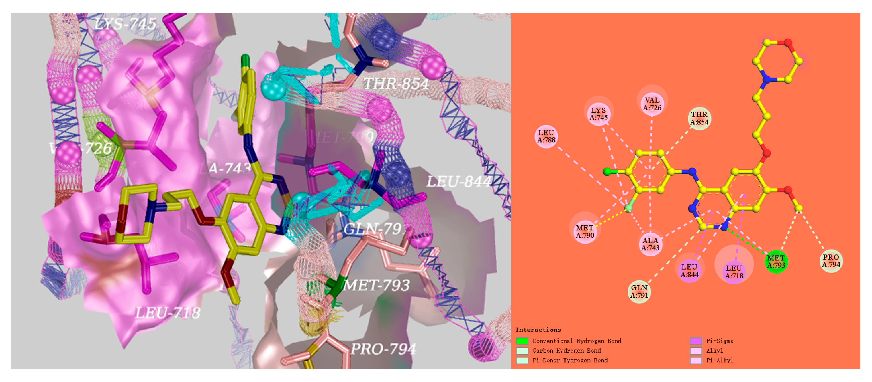 Molecules 24 00682 g004