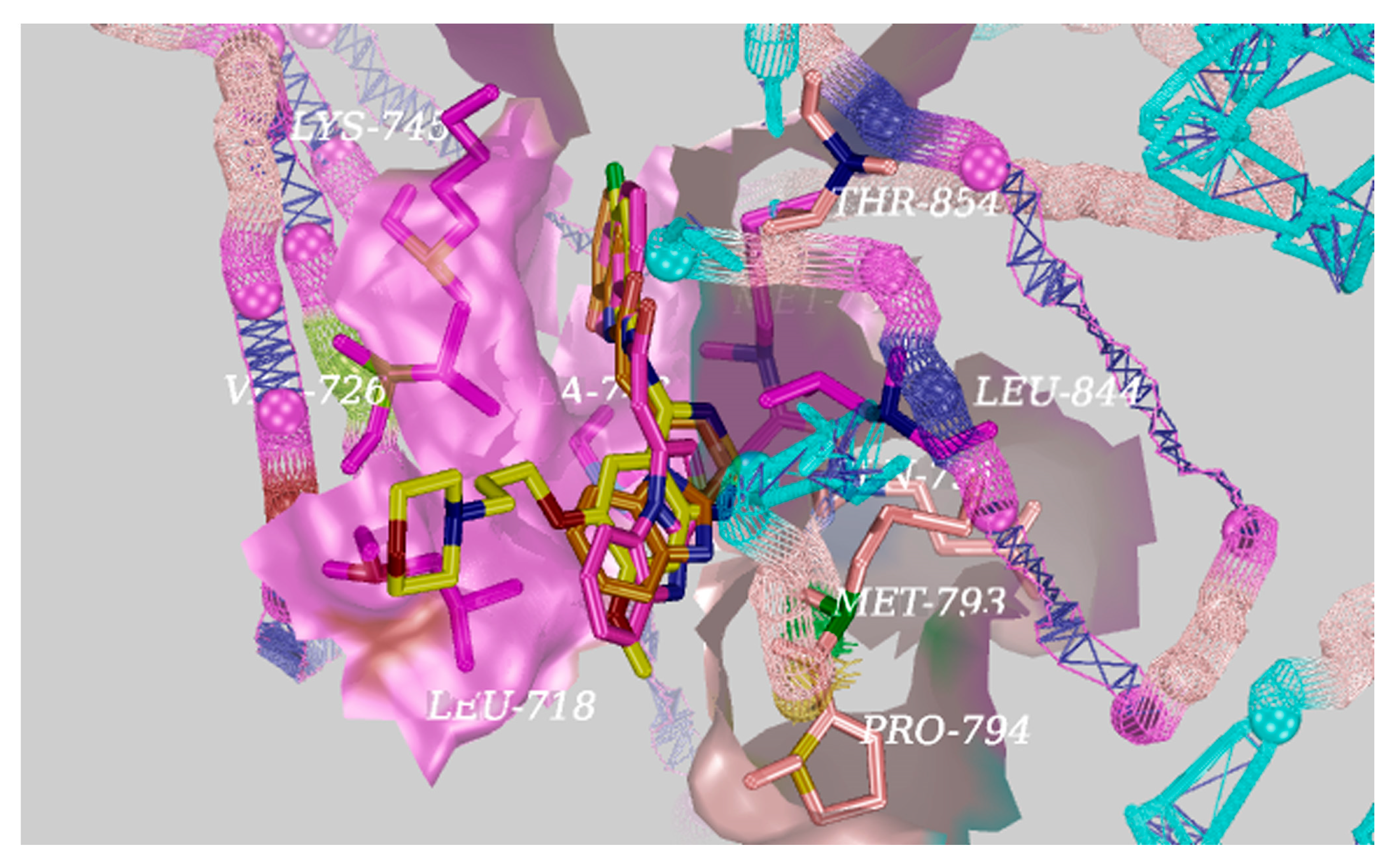 Molecules 24 00682 g005