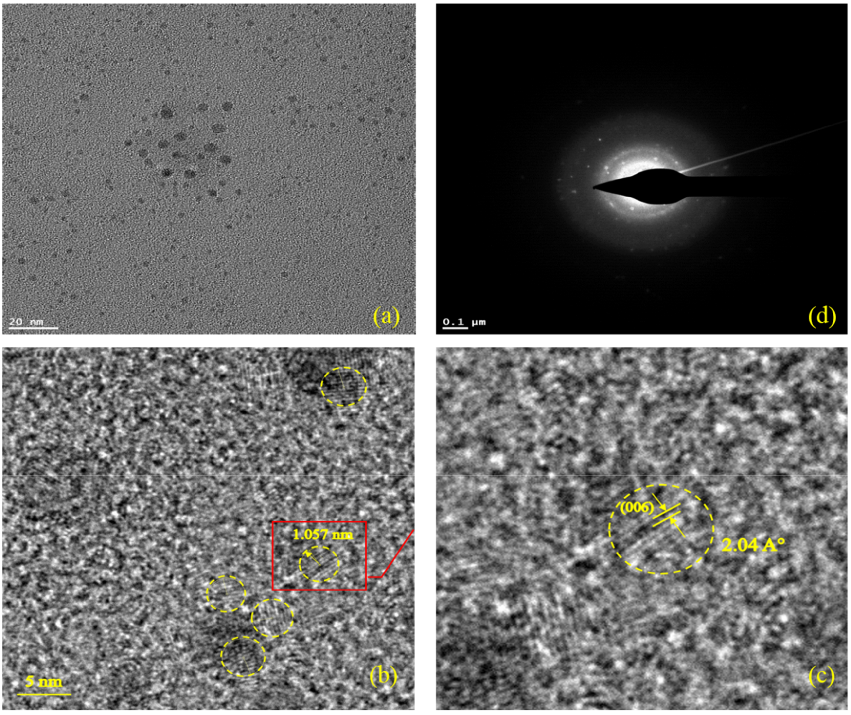 Molecules 24 00689 g001