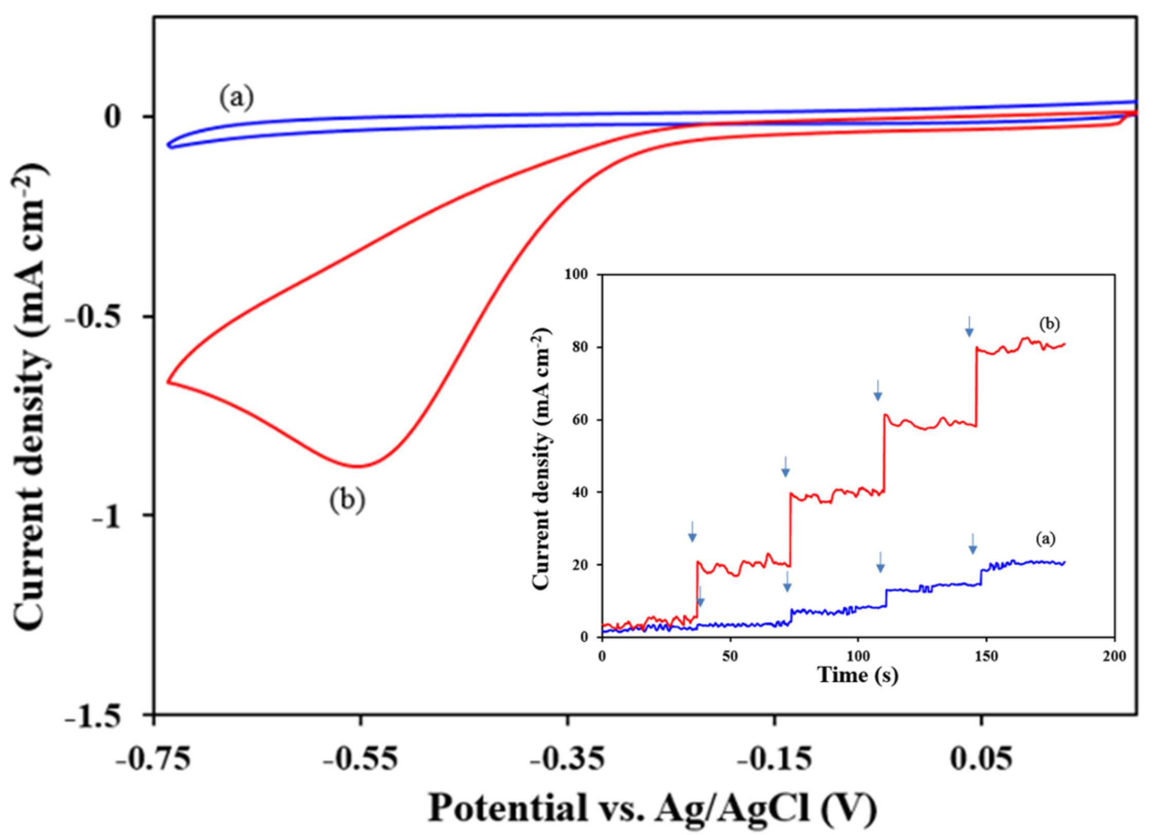 Molecules 24 00689 g004