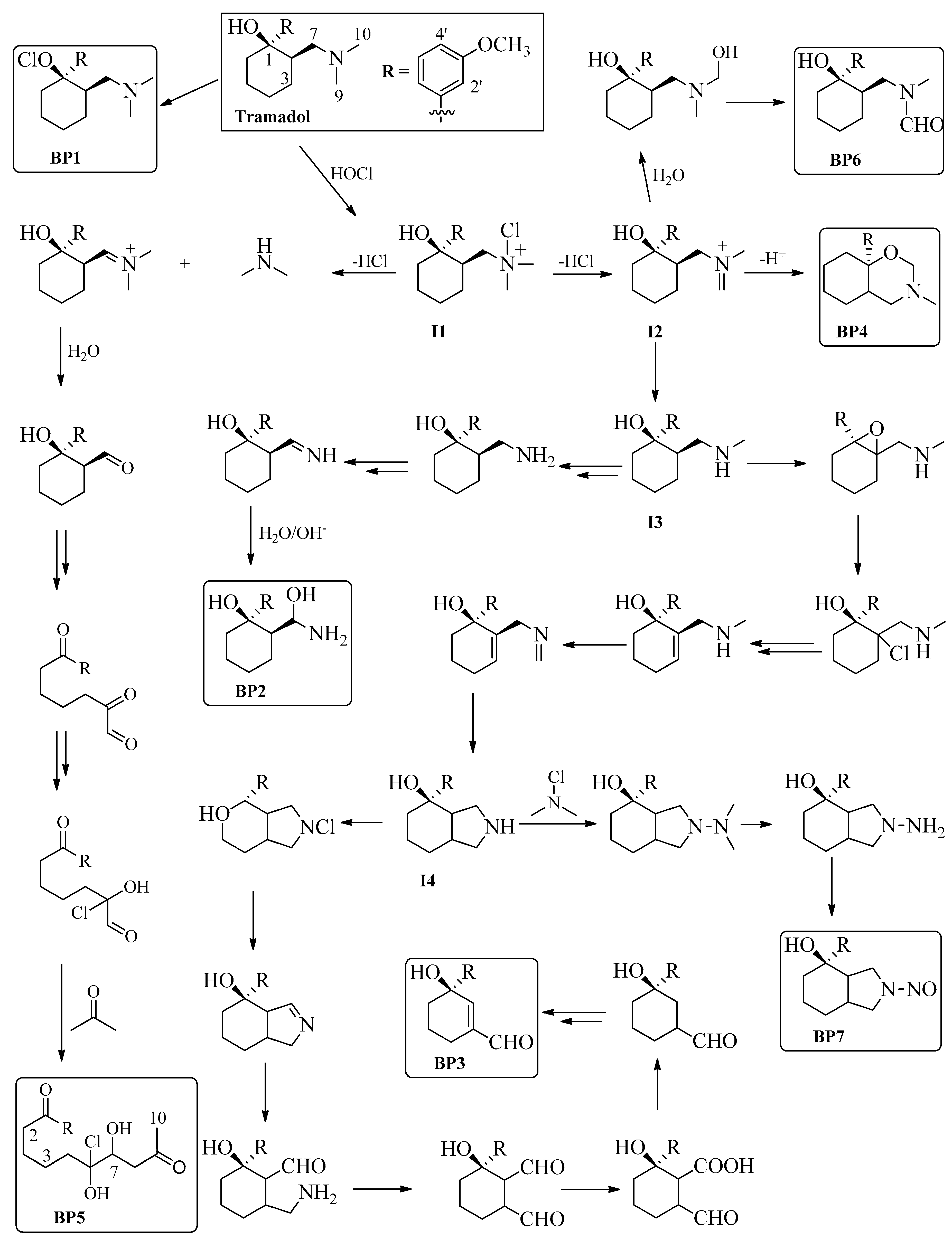 Molecules 24 00693 sch001