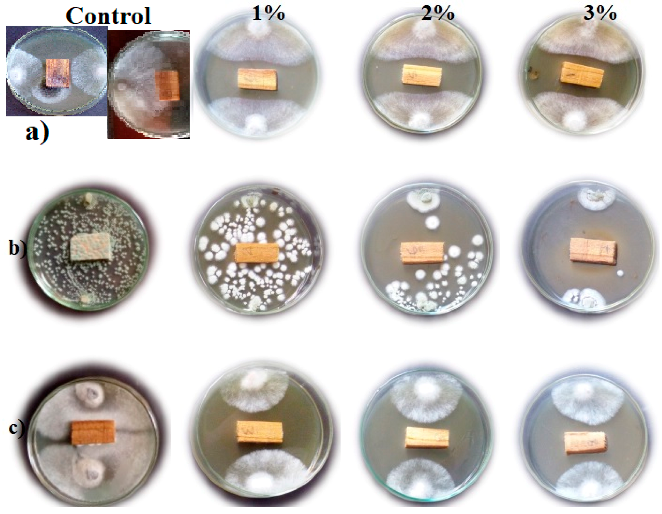 Molecules 24 00700 g001