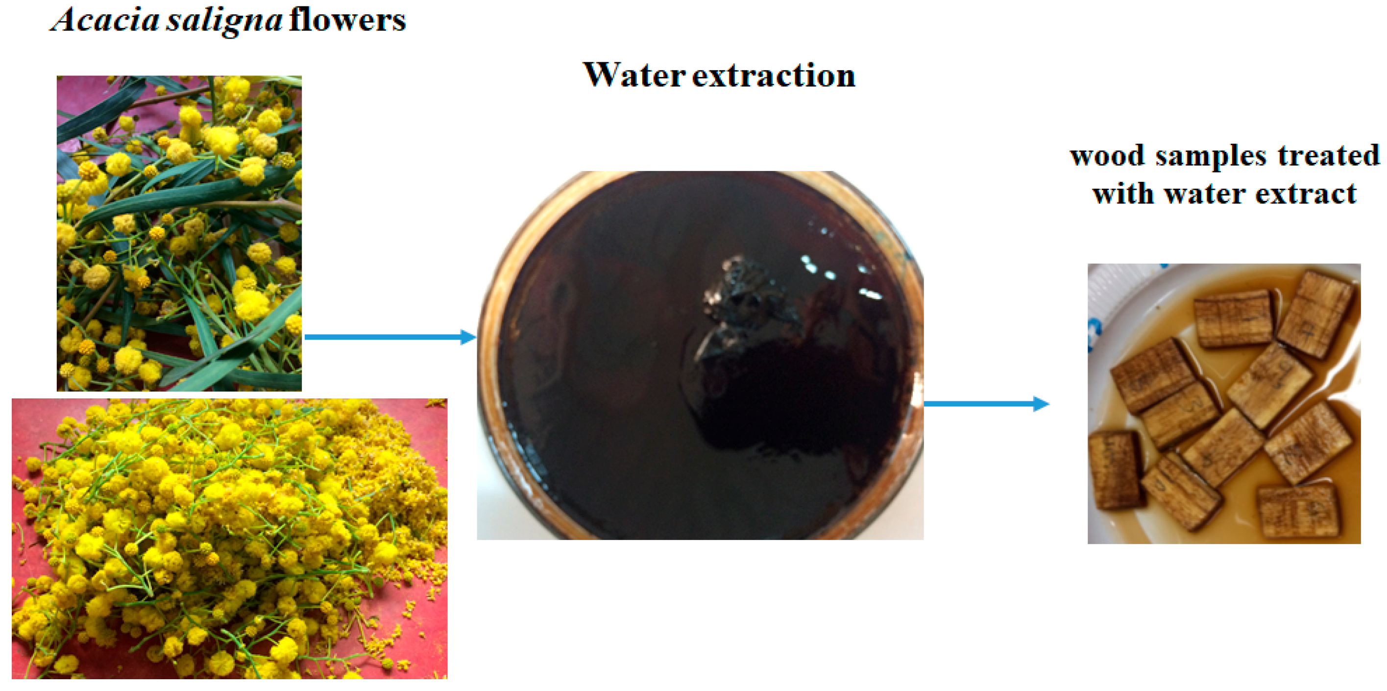 Molecules 24 00700 g005
