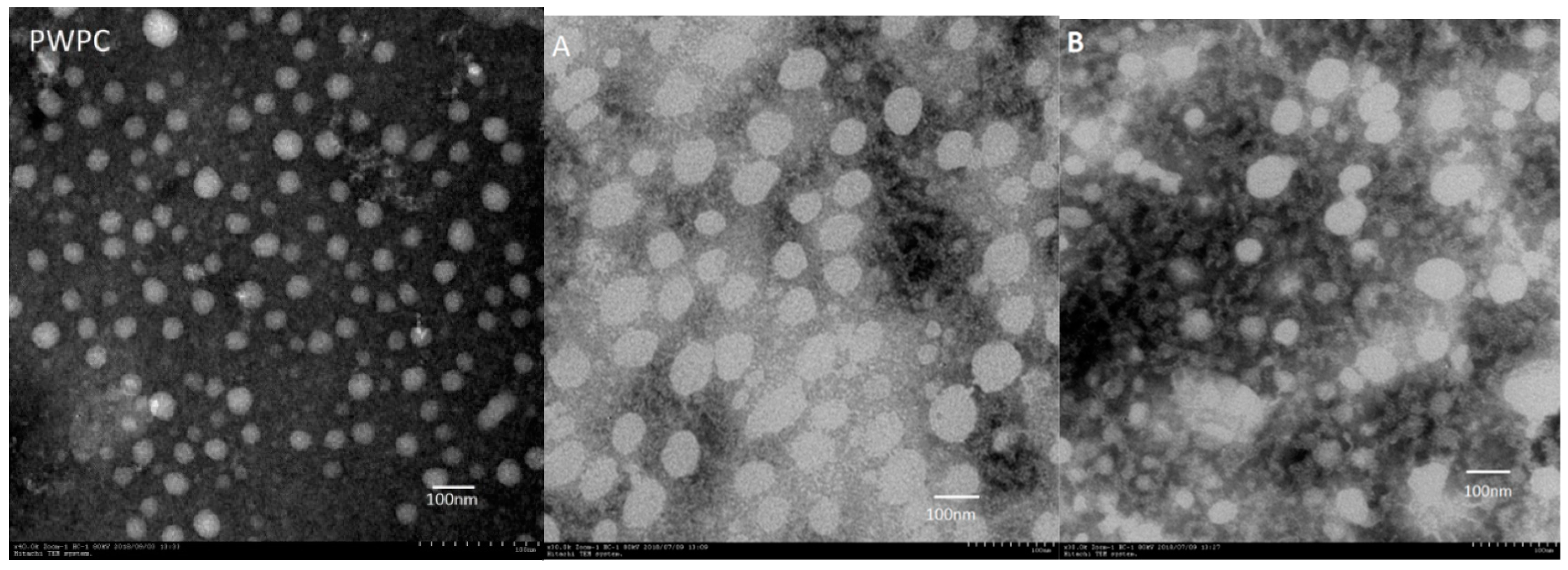 Molecules 24 00702 g003a